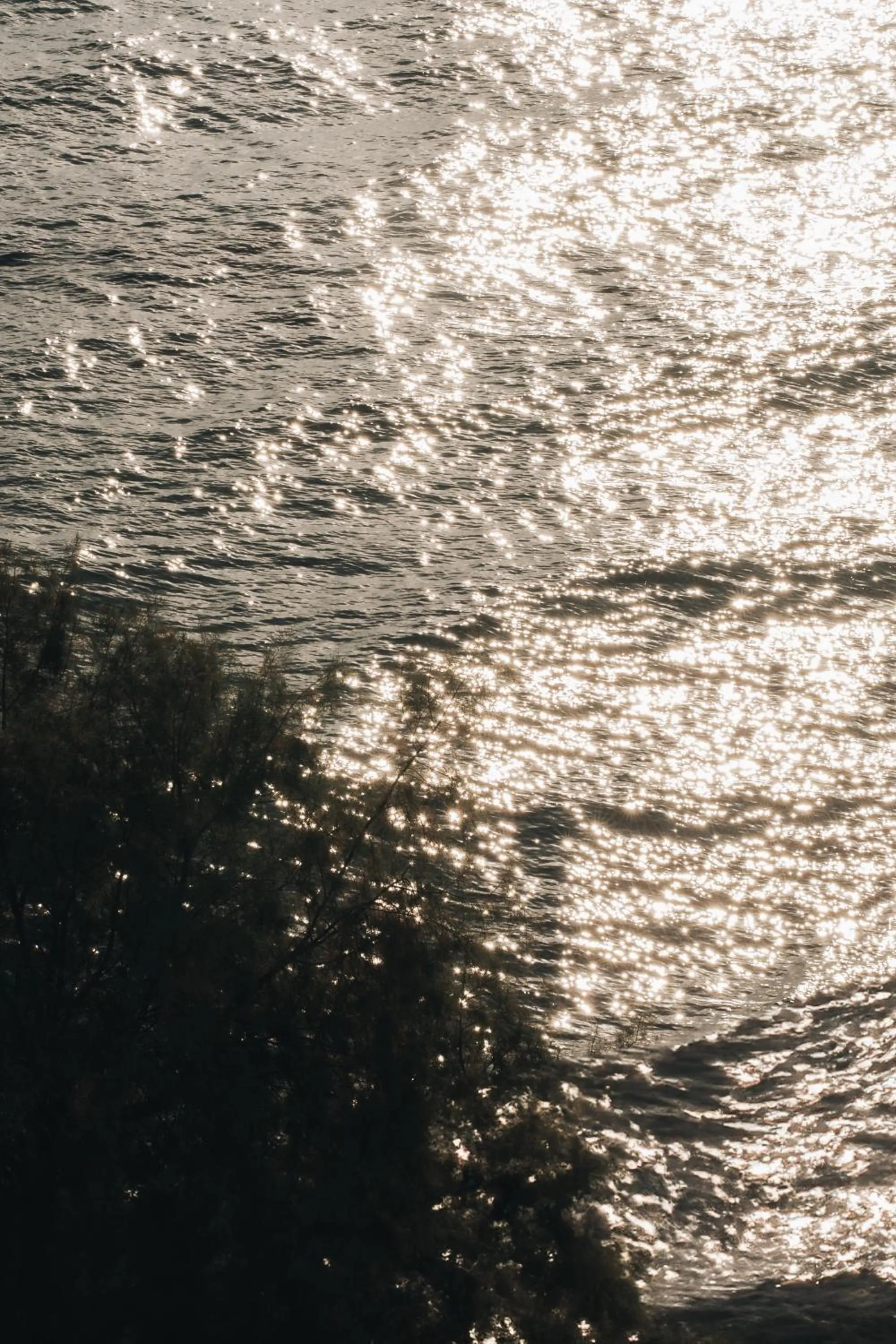 Day in Golden Coast Beachfront Resort