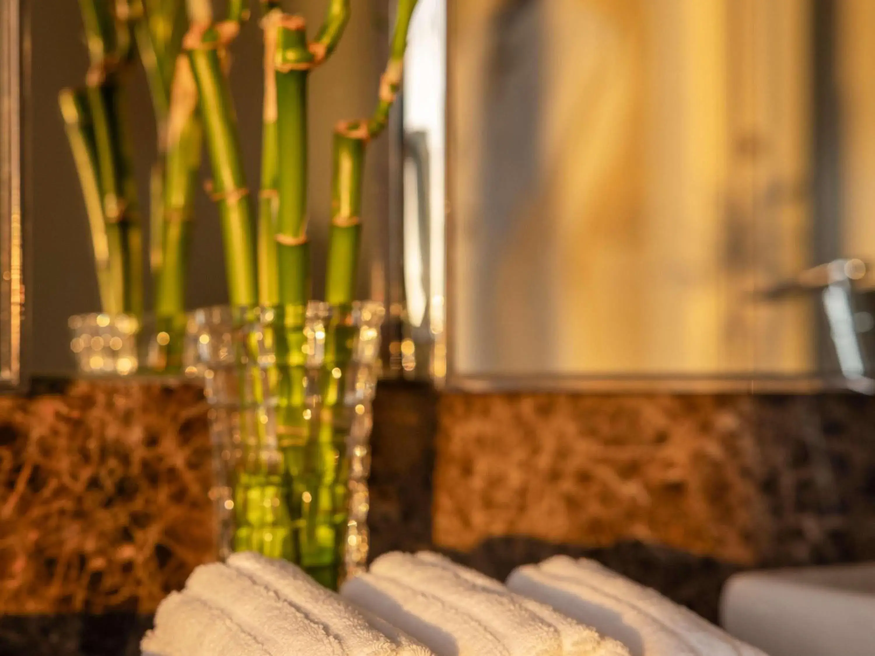 Spa and wellness centre/facilities in Fairmont Makati Spa and wellness centre/facilities in Fairmont Makati