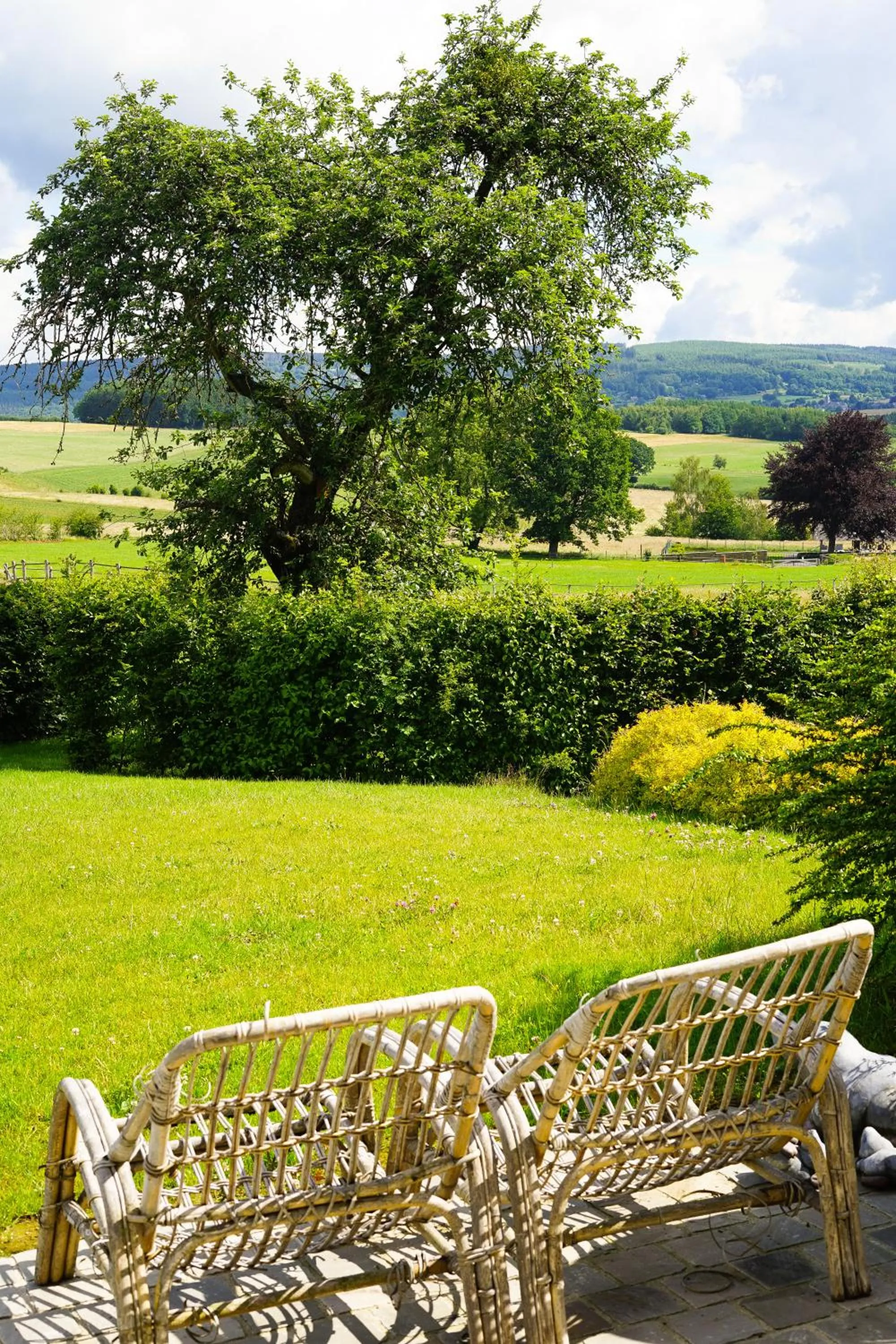 Domaine du Vieux Chêne