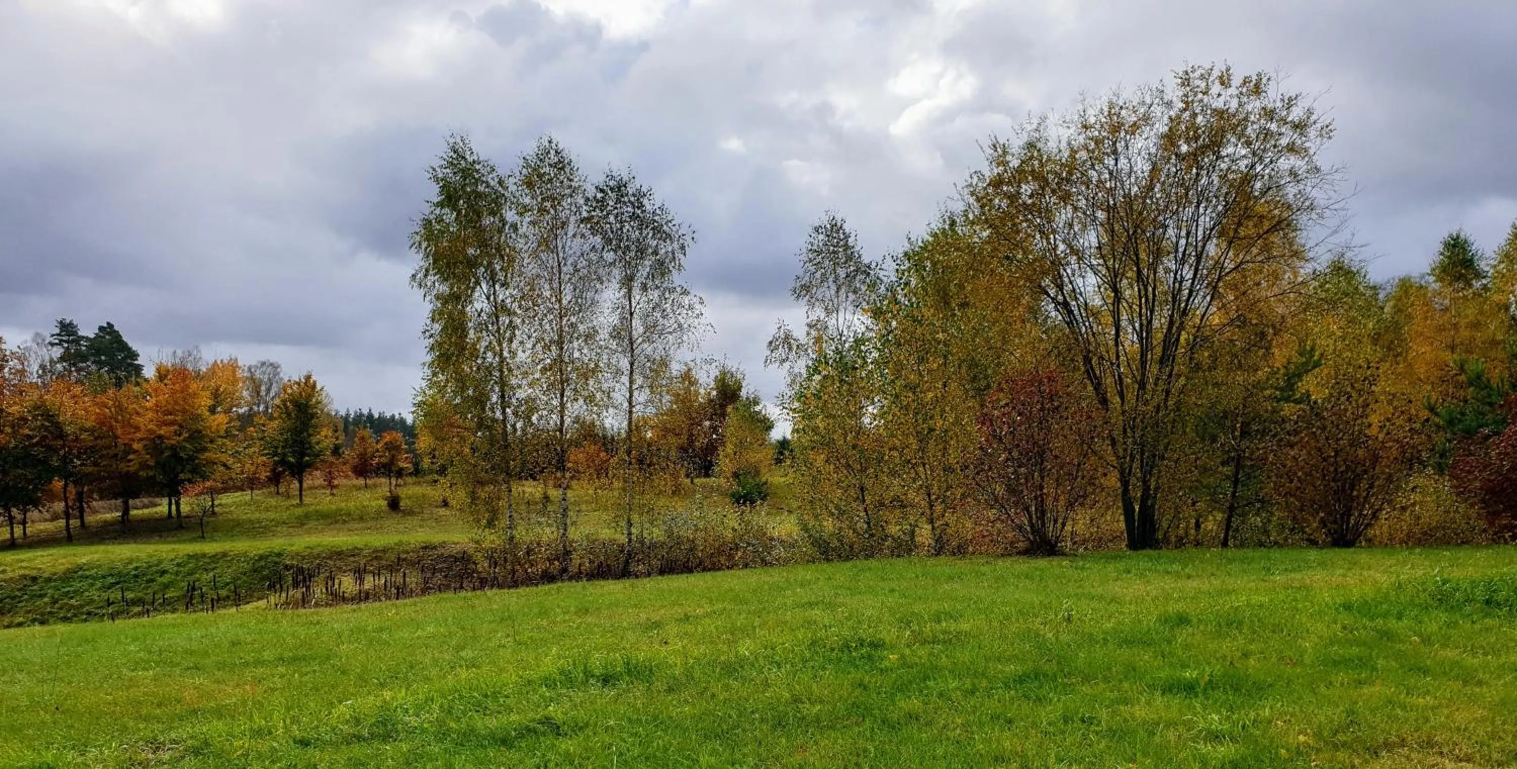 Natural landscape in Park Inn Resort