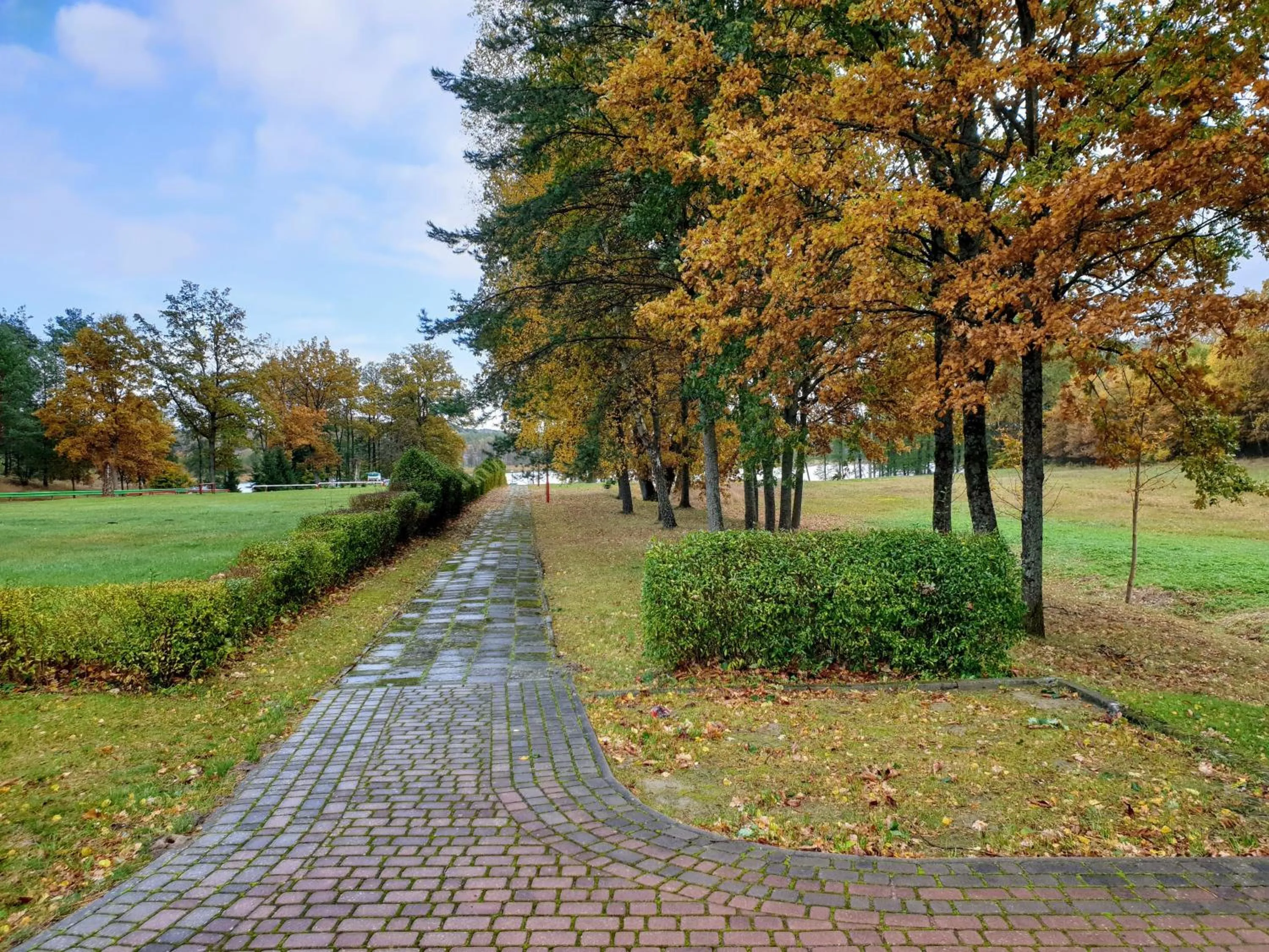 Natural landscape in Park Inn Resort