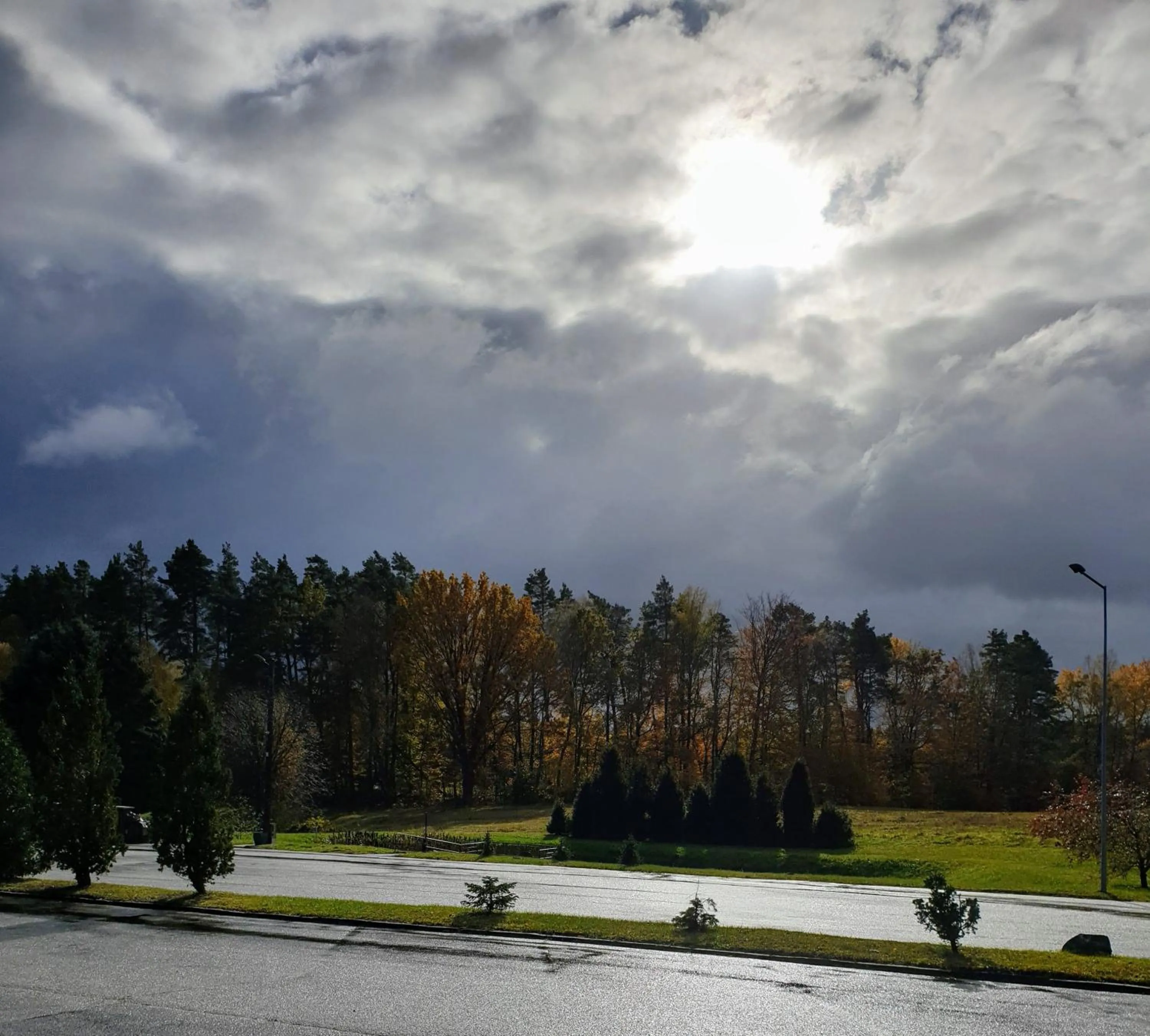 Natural landscape in Park Inn Resort
