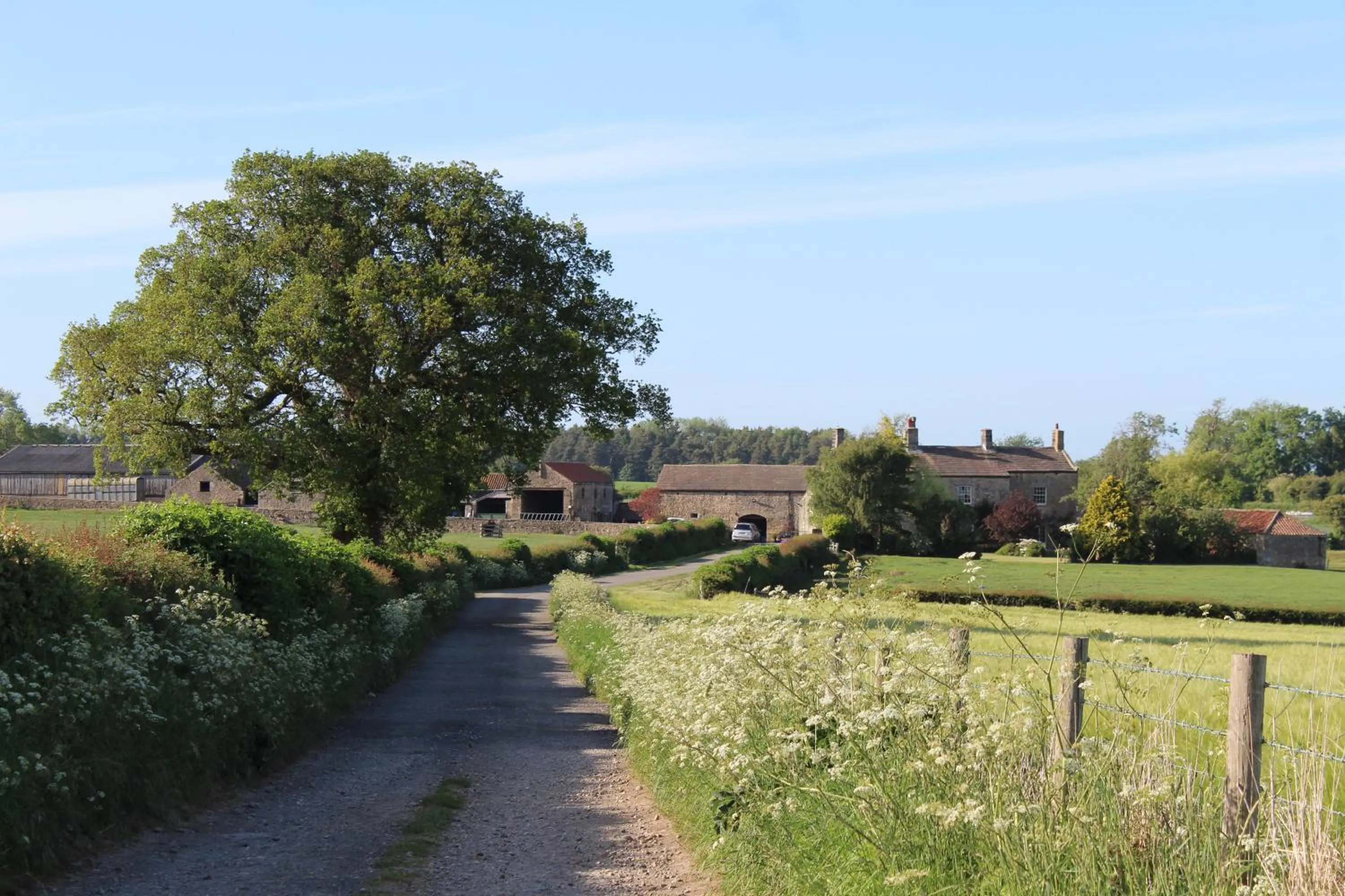 Mallard Grange B&B