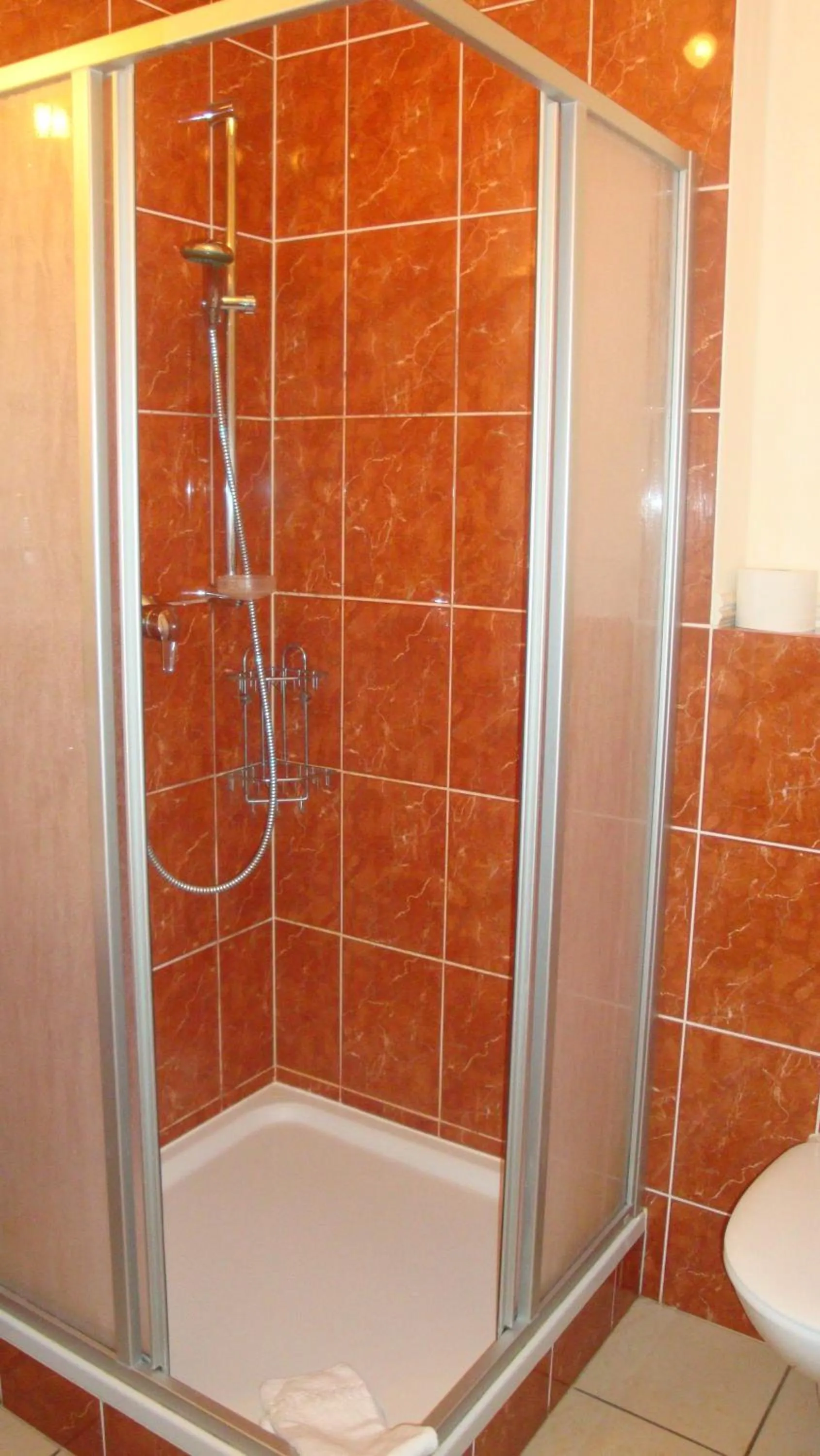 Bathroom in StadtHotel Passau