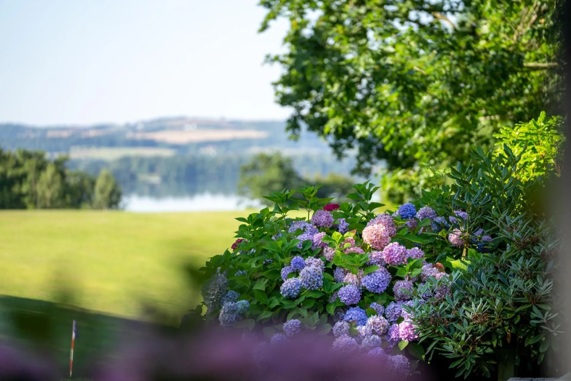 Spring in Skanderborg Park