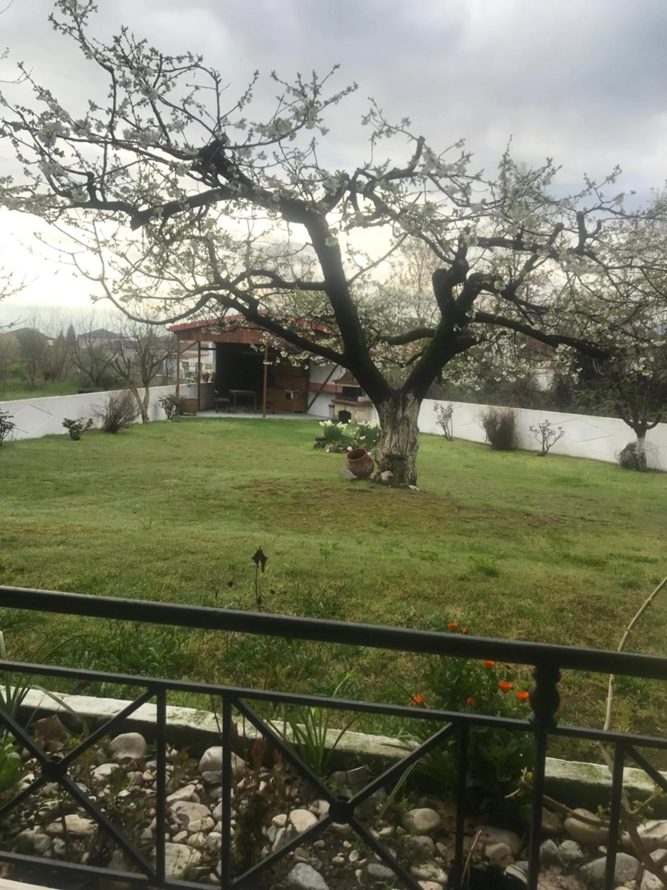 Spring in Enastron Hotel