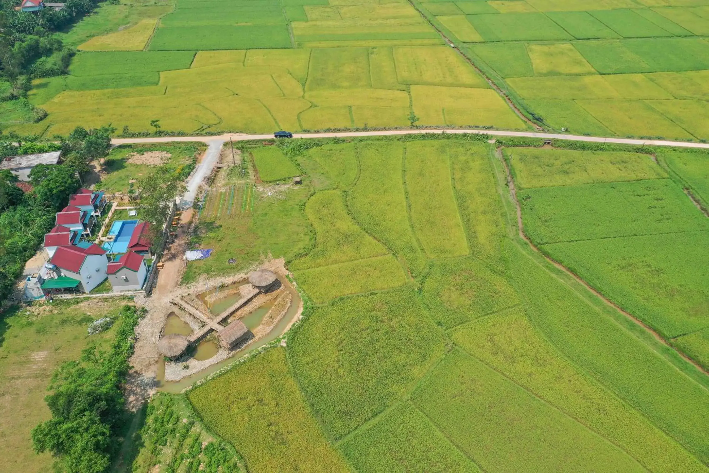 Property building in Palafita Bungalow Property building in Palafita Bungalow