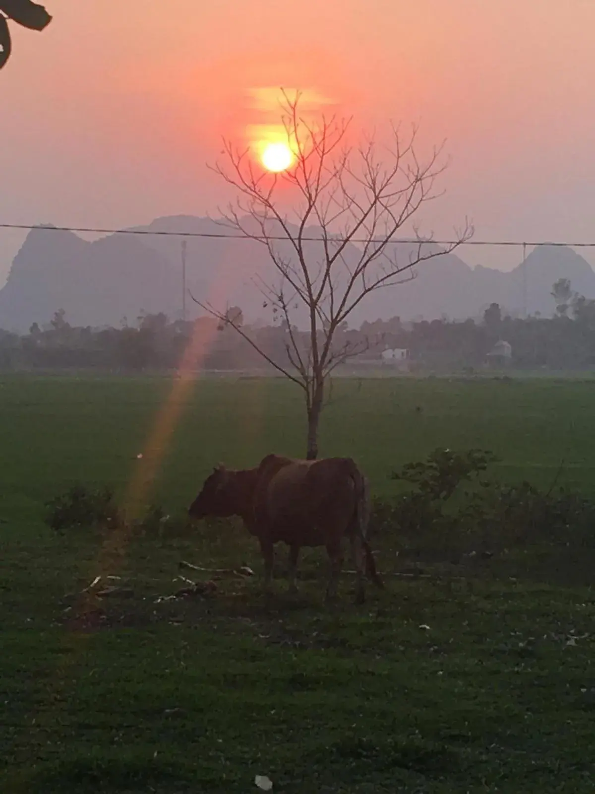Natural landscape in Palafita Bungalow Natural landscape in Palafita Bungalow