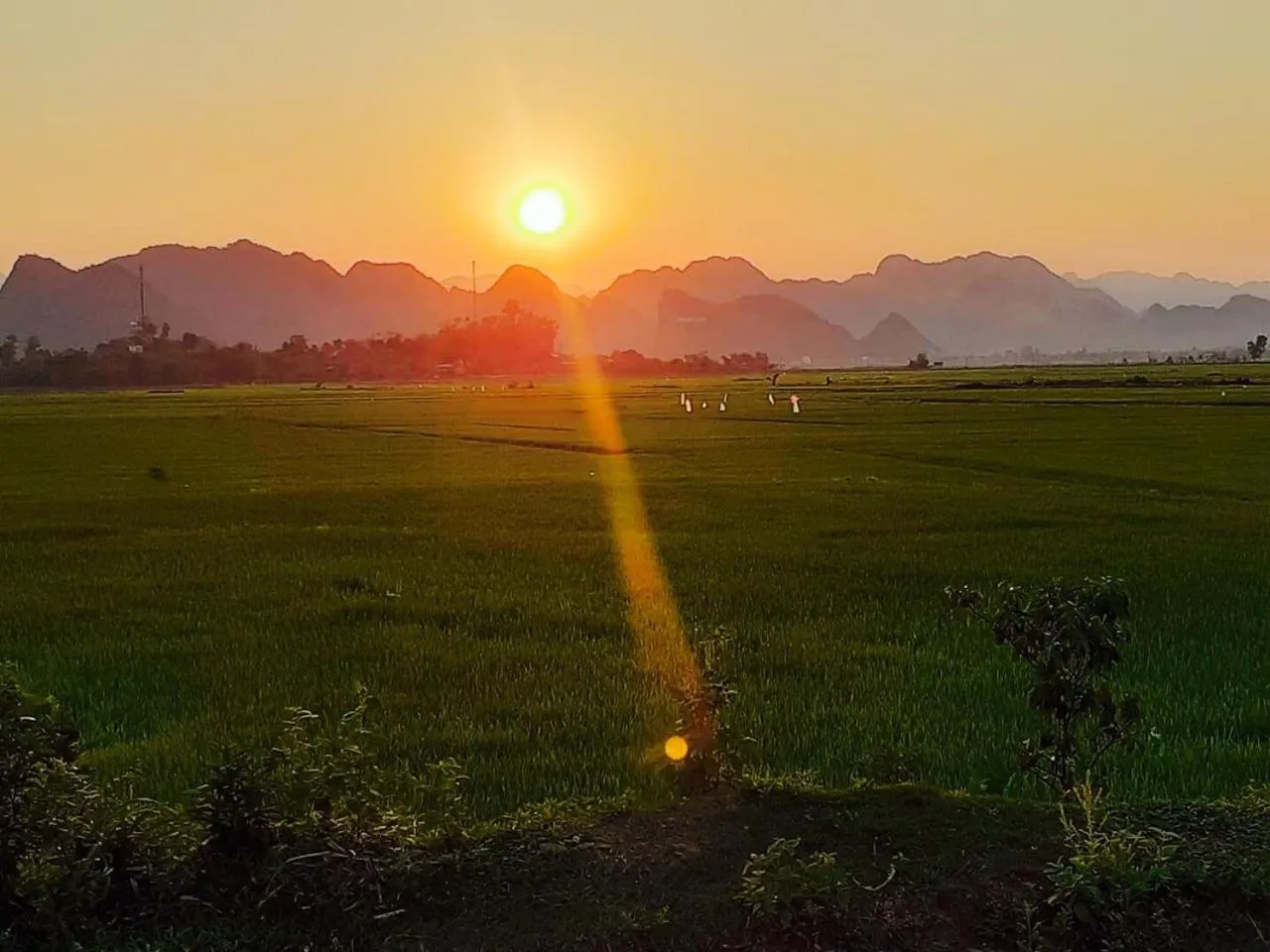 Spring in Palafita Bungalow