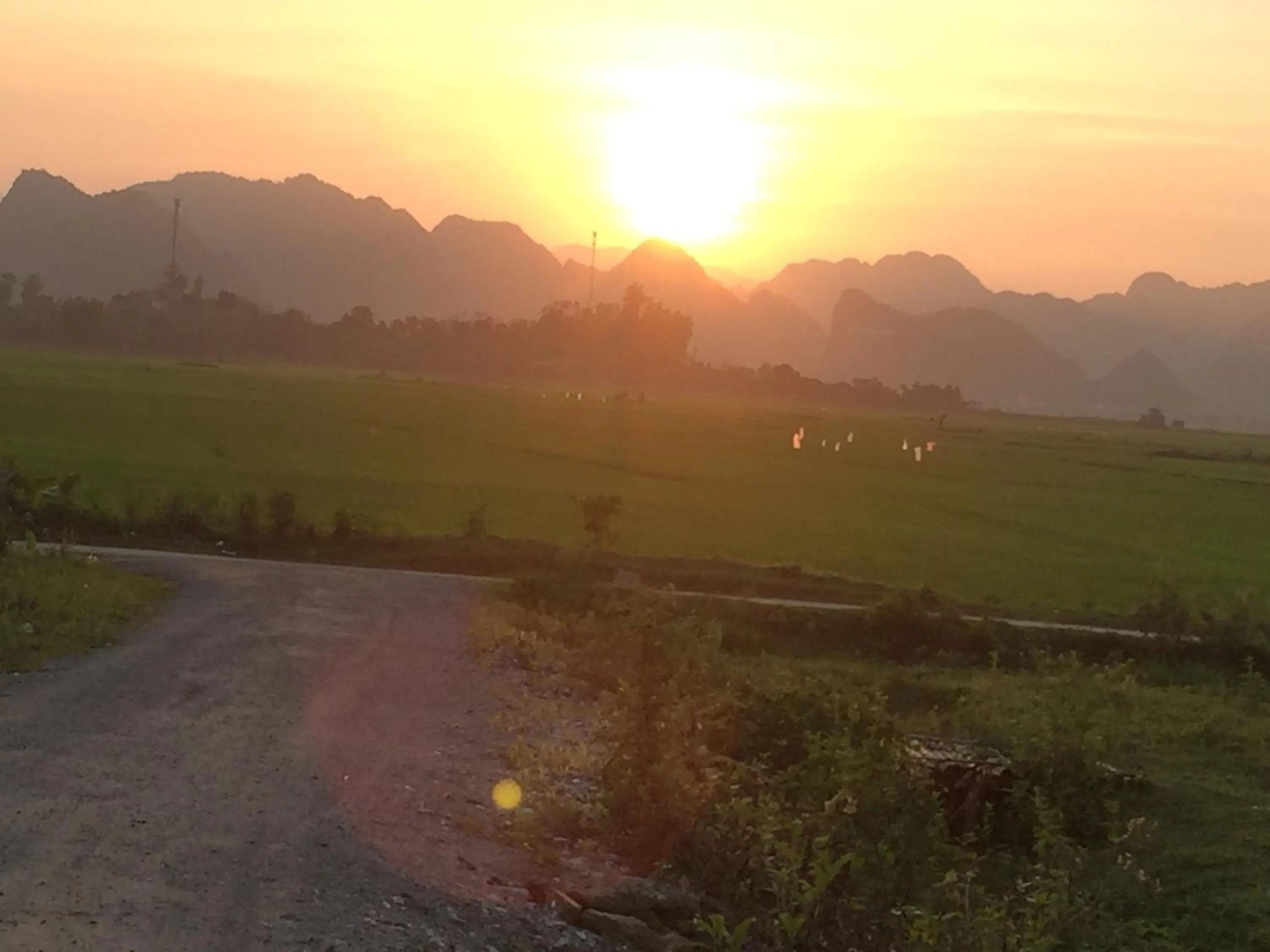 Natural landscape in Palafita Bungalow