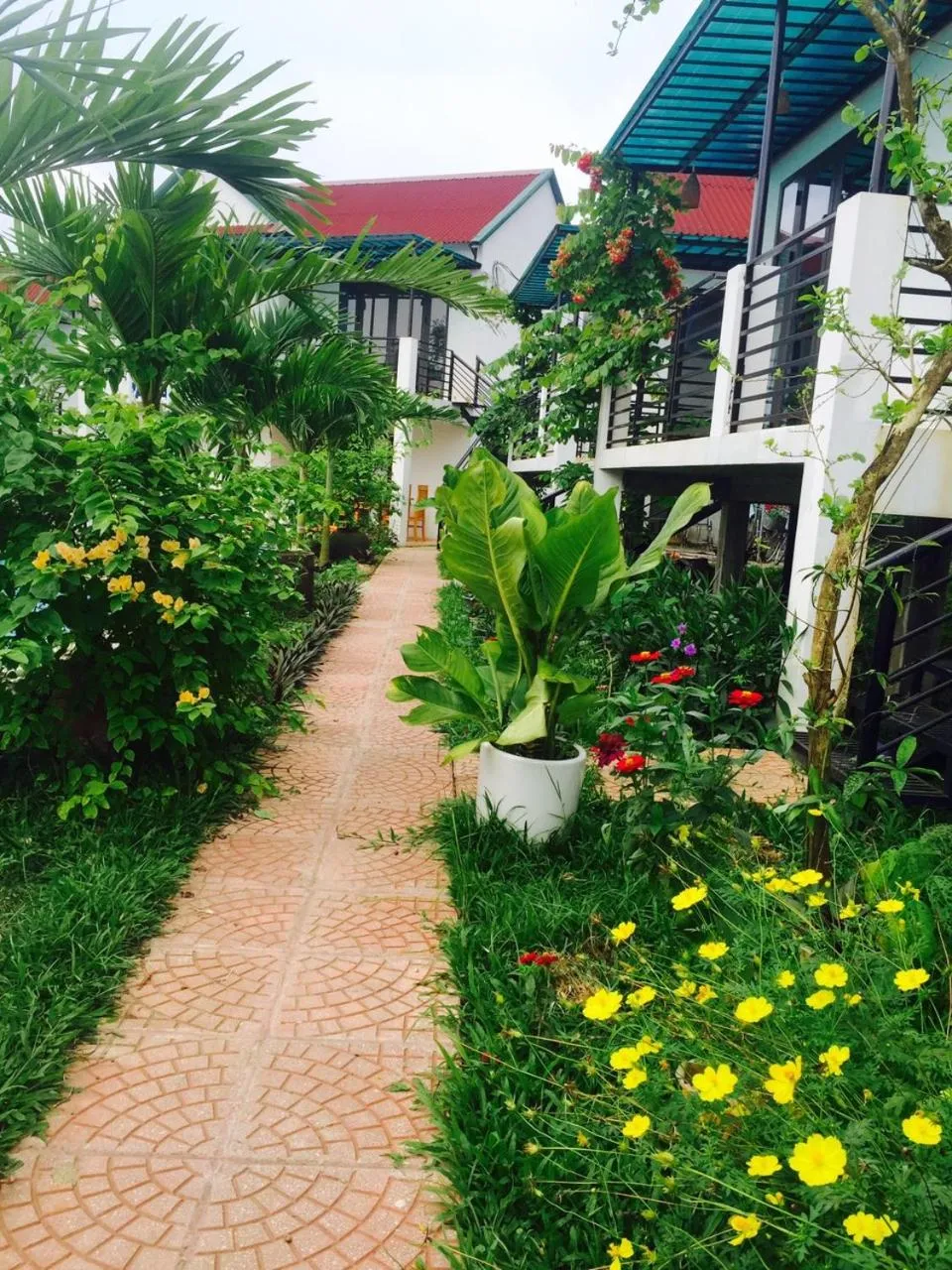 Day in Palafita Bungalow