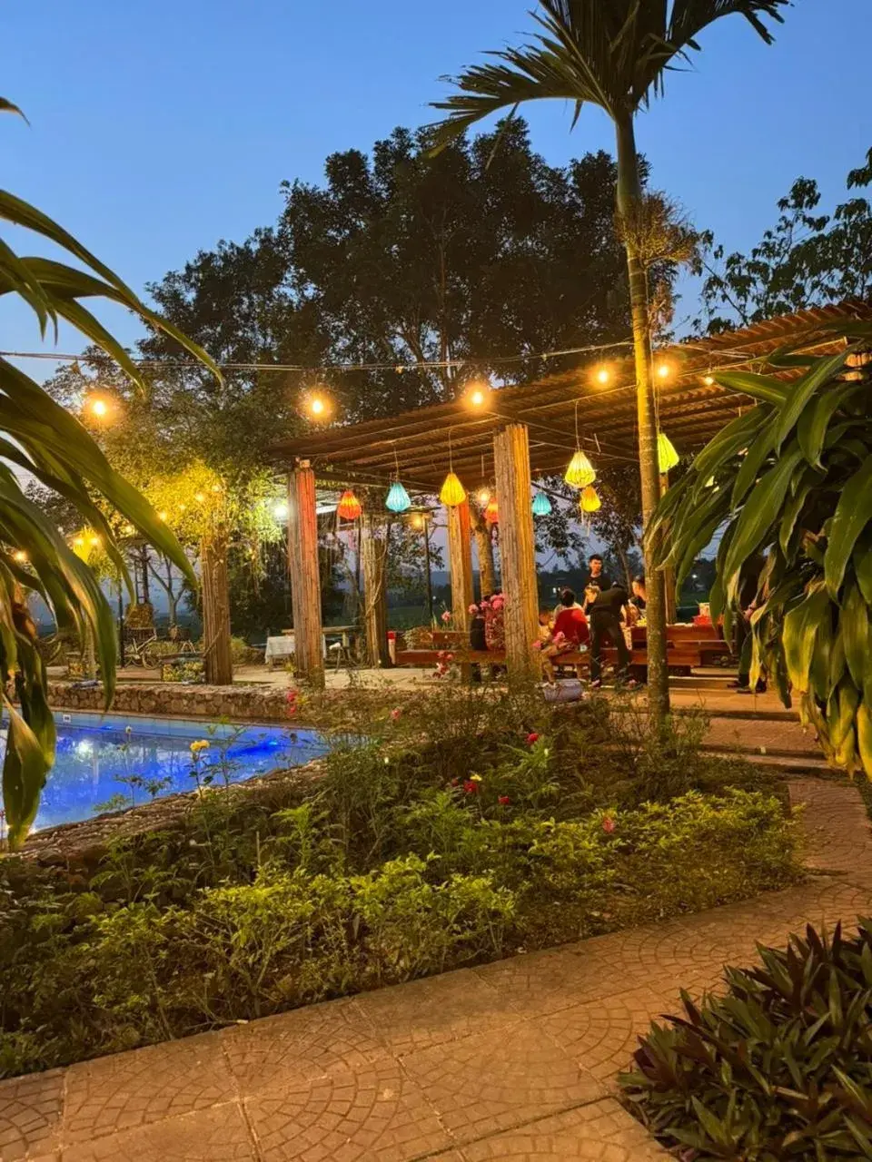 Restaurant/places to eat in Palafita Bungalow Restaurant/places to eat in Palafita Bungalow