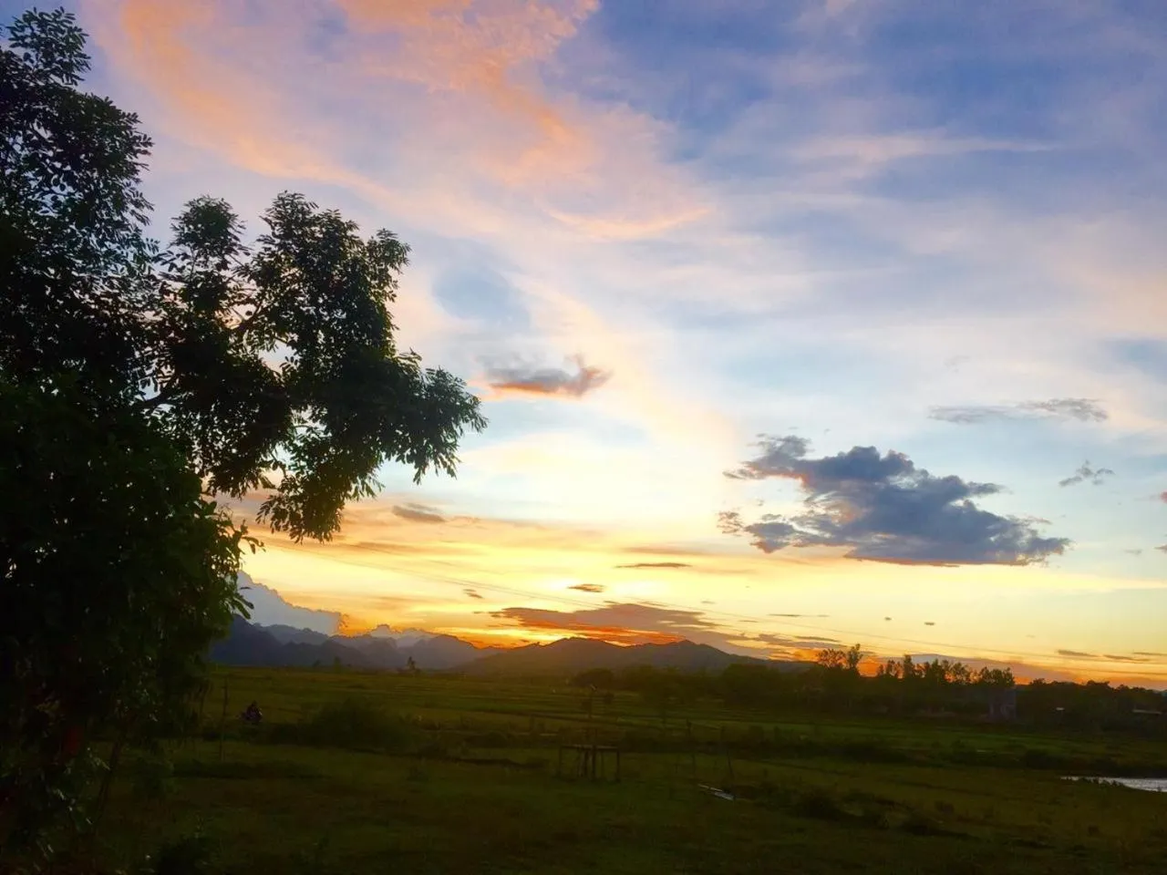 Natural landscape in Palafita Bungalow
