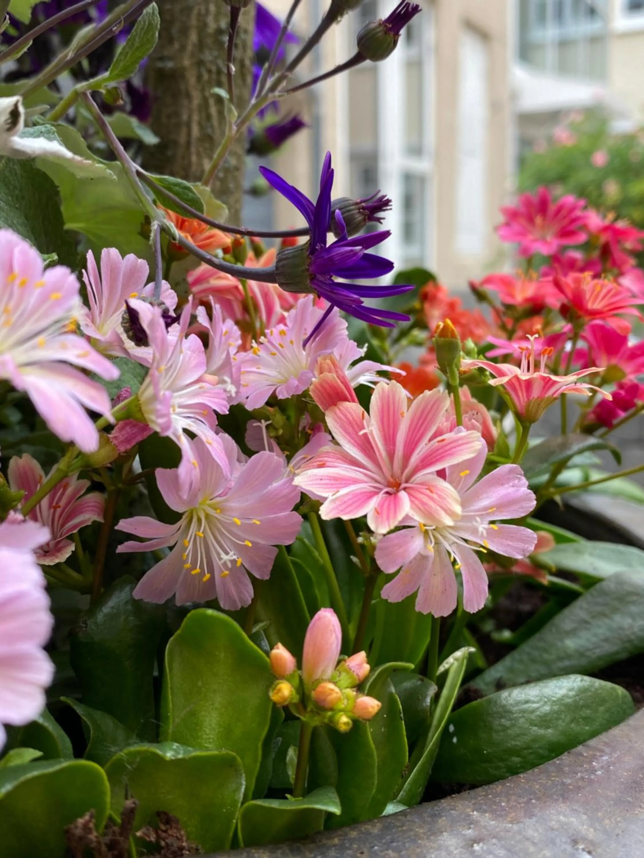 Property building in Hotel Aarhus City Apartments