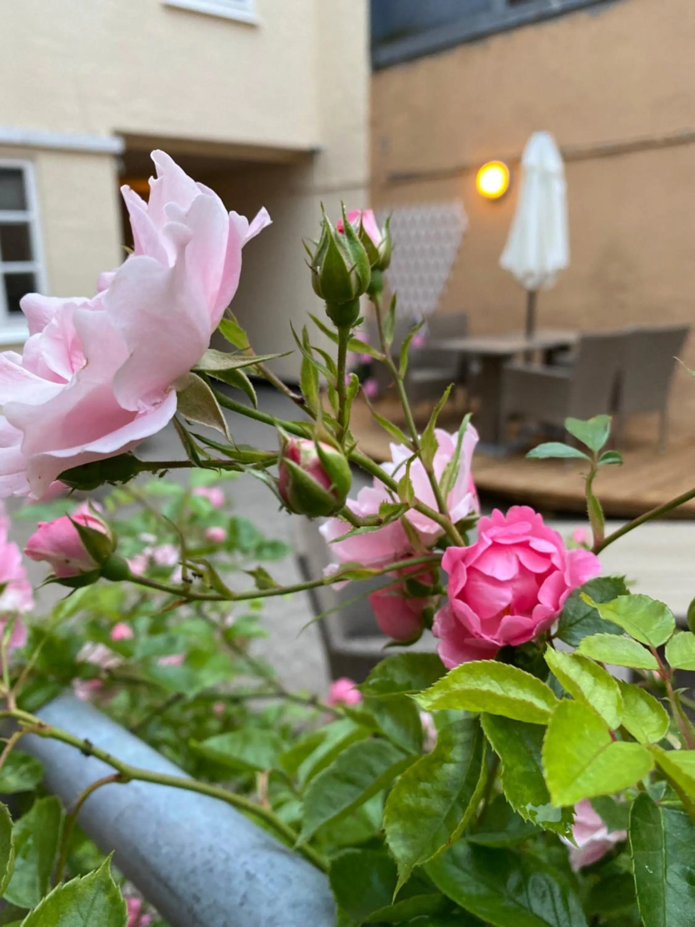 Property building in Hotel Aarhus City Apartments