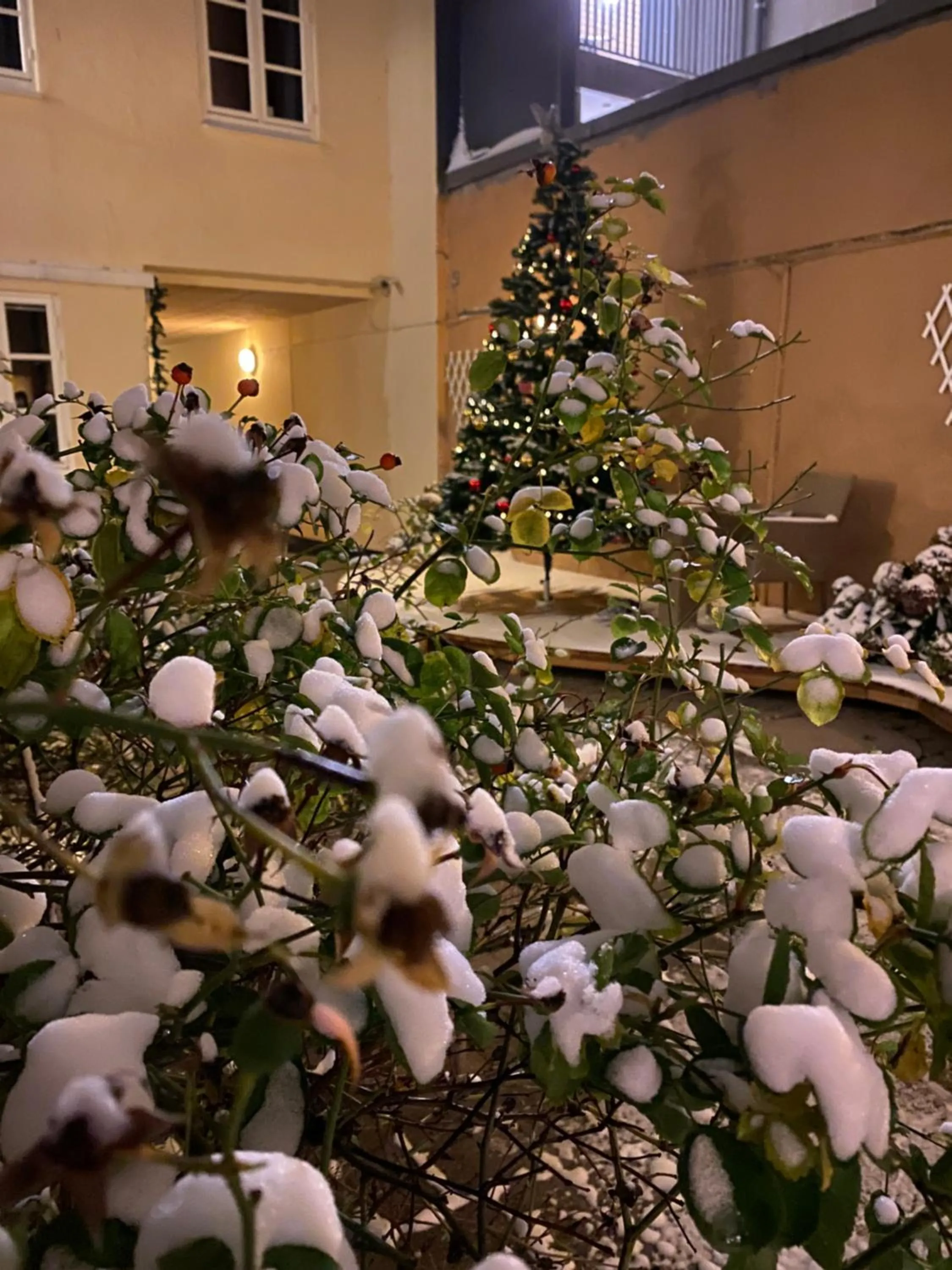 Winter in Hotel Aarhus City Apartments