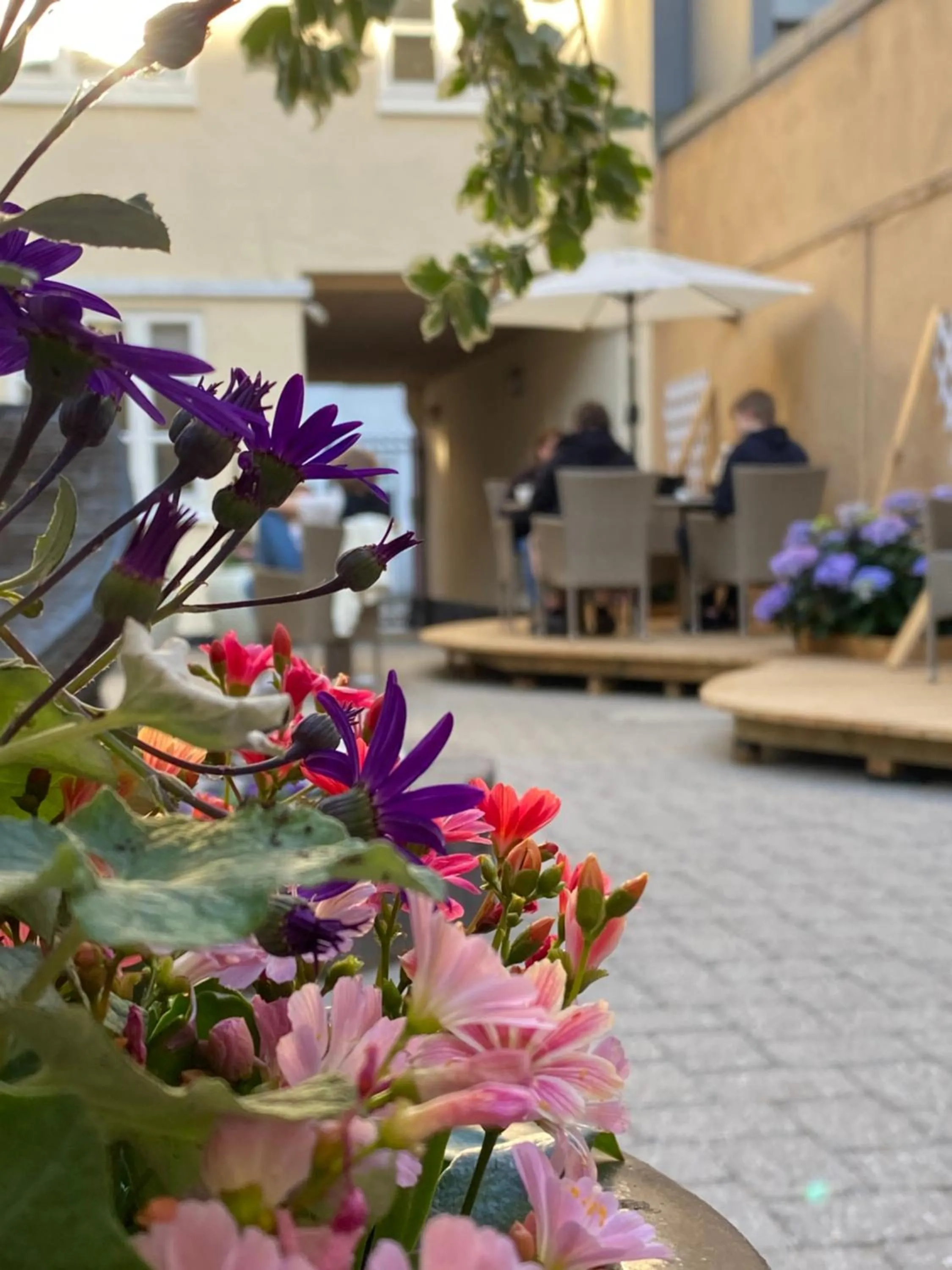 Summer in Hotel Aarhus City Apartments