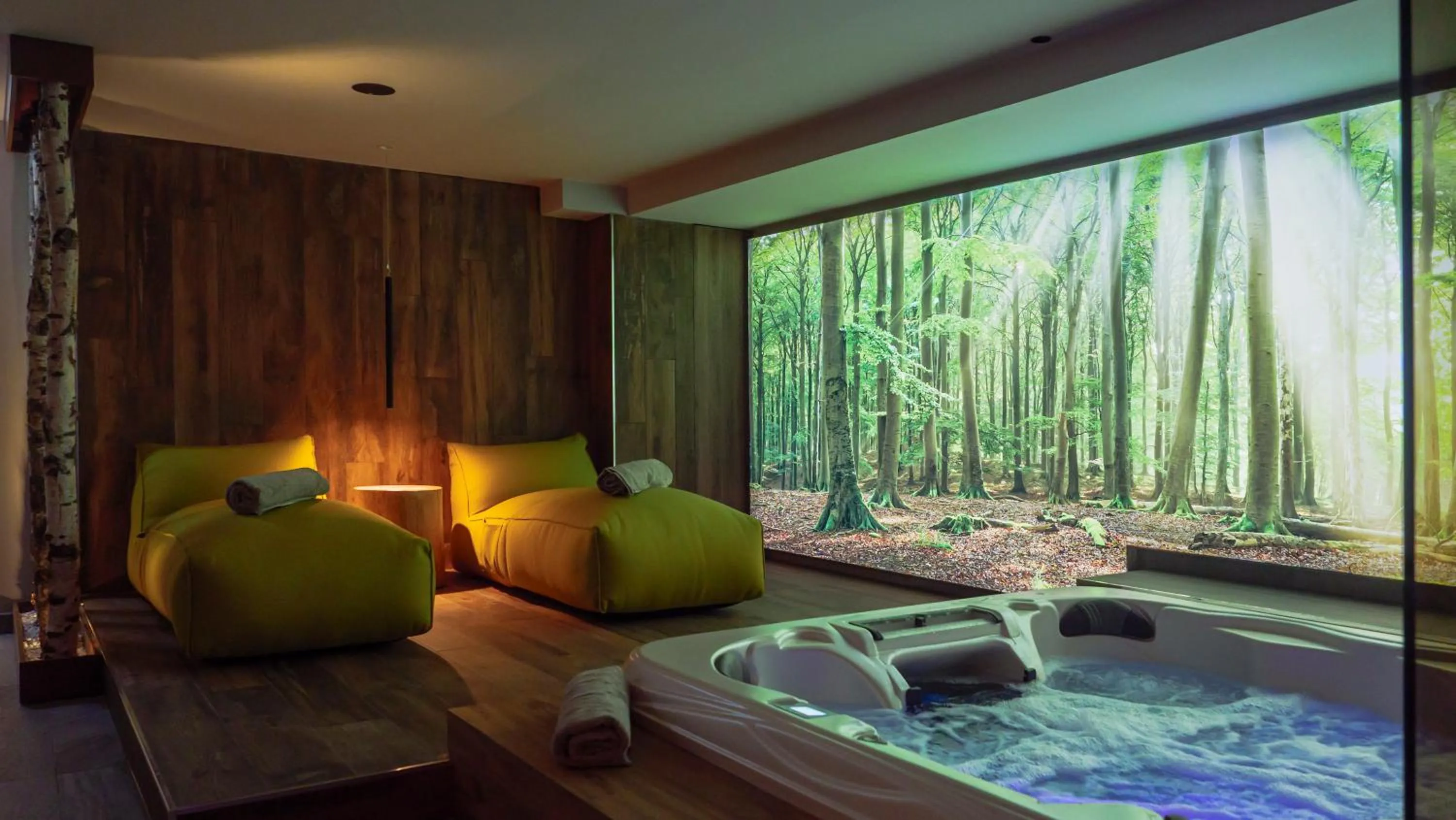 Spa and wellness centre/facilities in Hotel Nido dell'Aquila