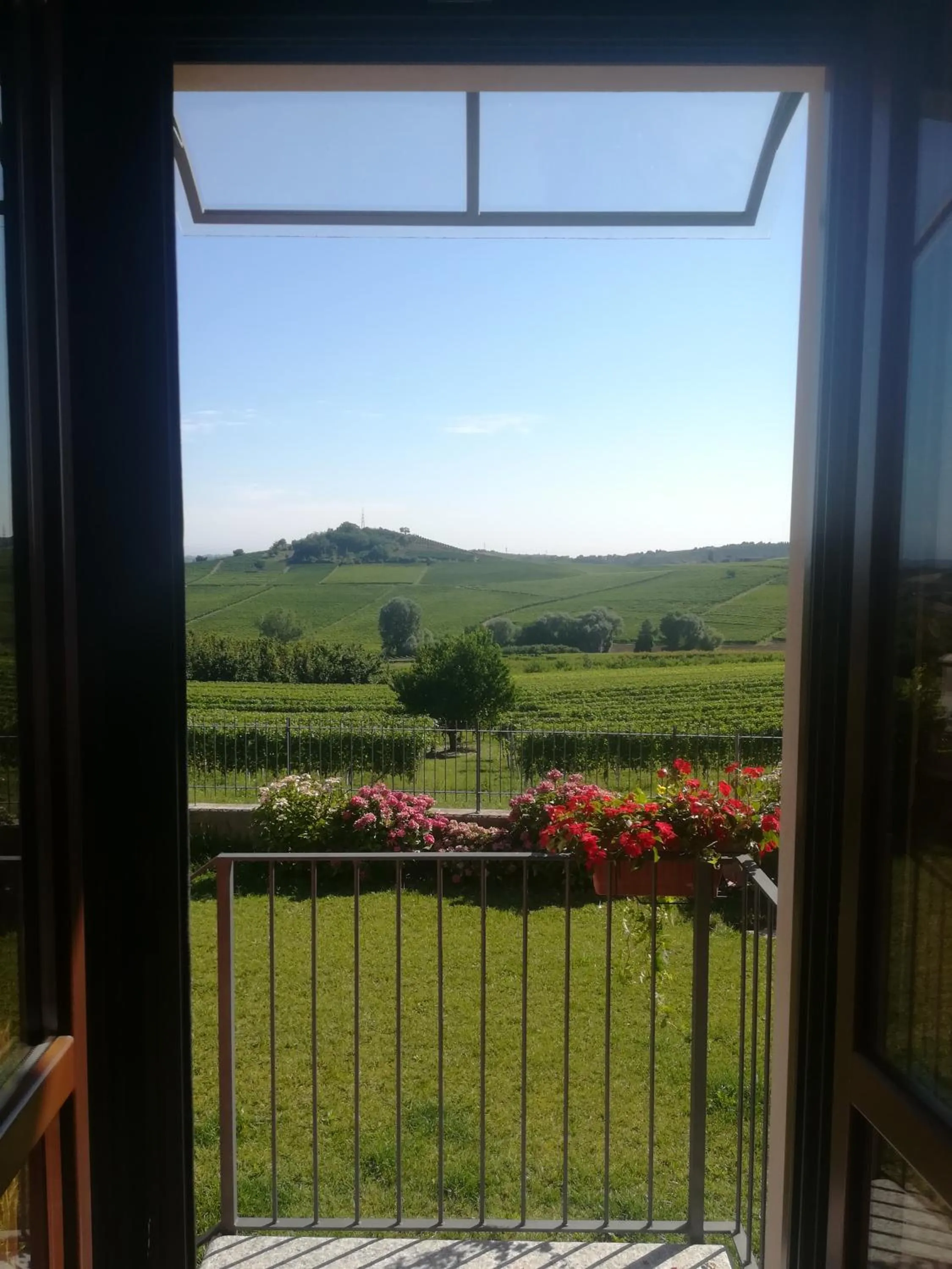 View (from property/room) in Villa Vecchio