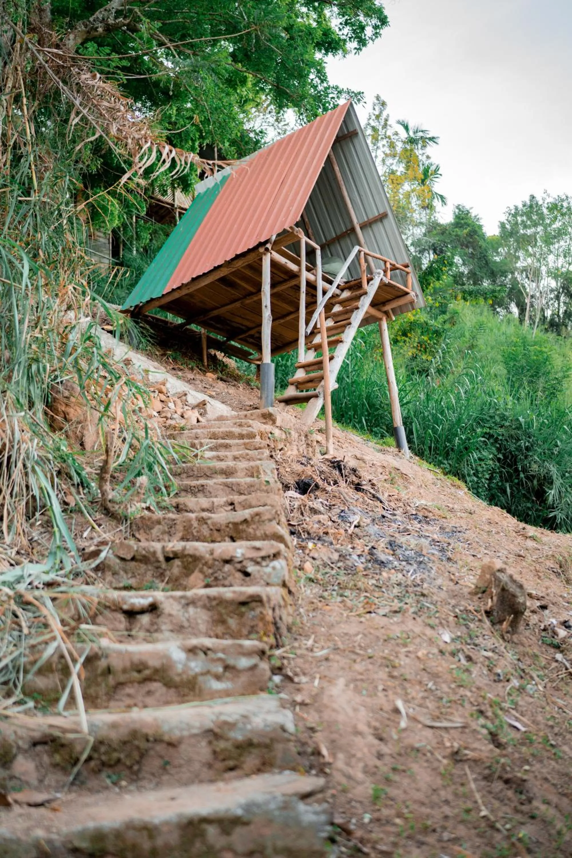 View (from property/room) in Ella 100 View Cottage