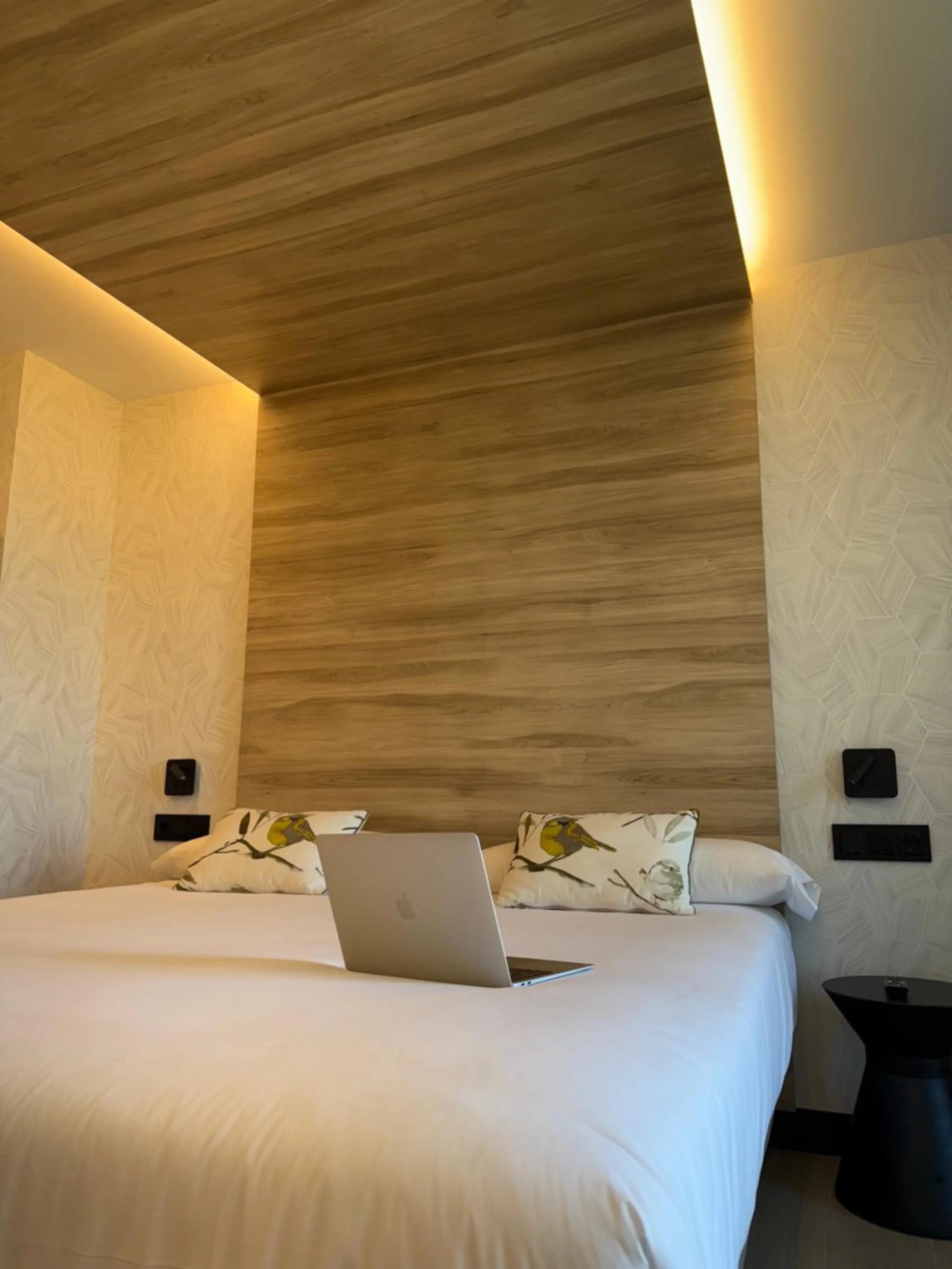 Other, Bed in Hotel Delfin Azul