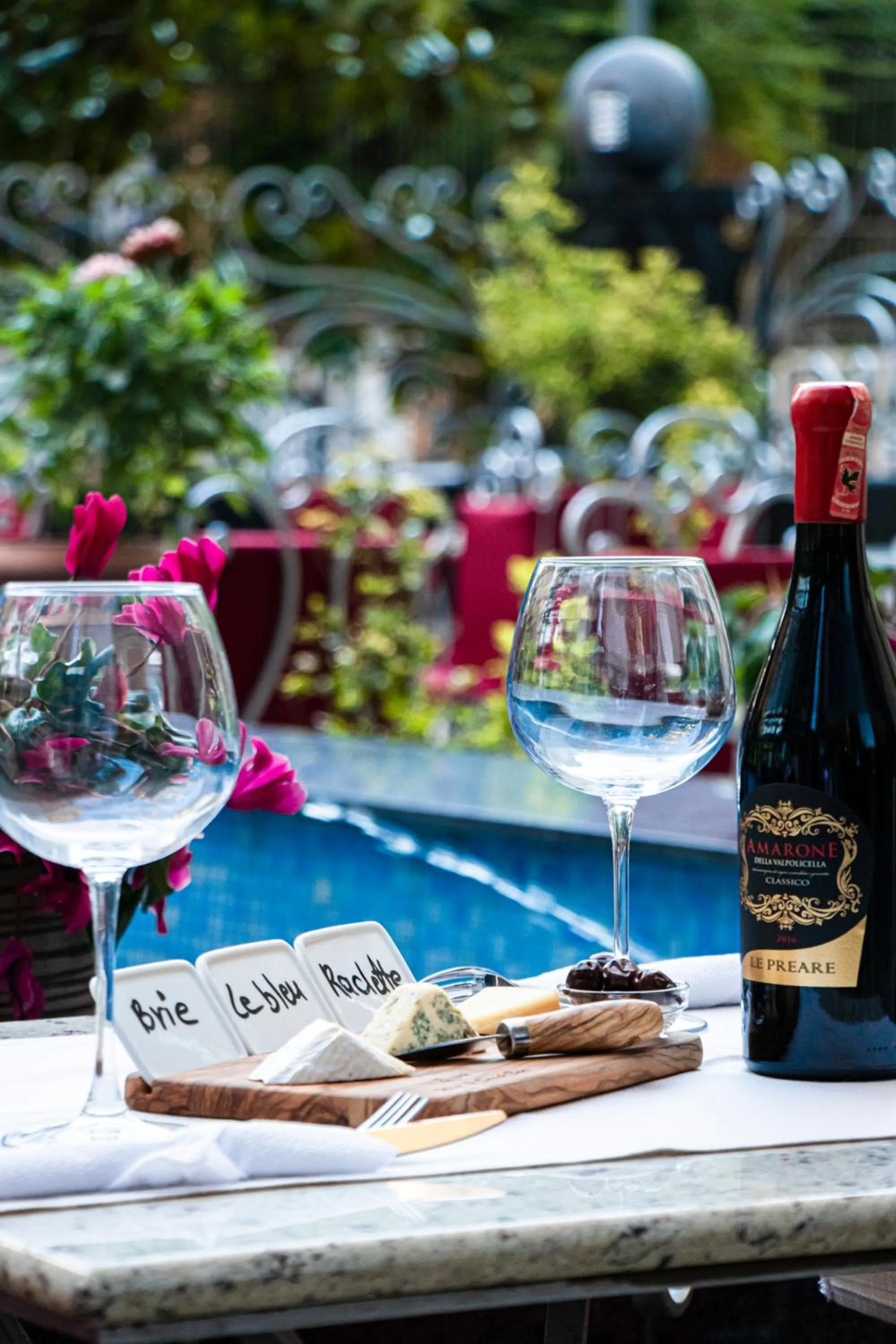 Garden in Hotel Elysee