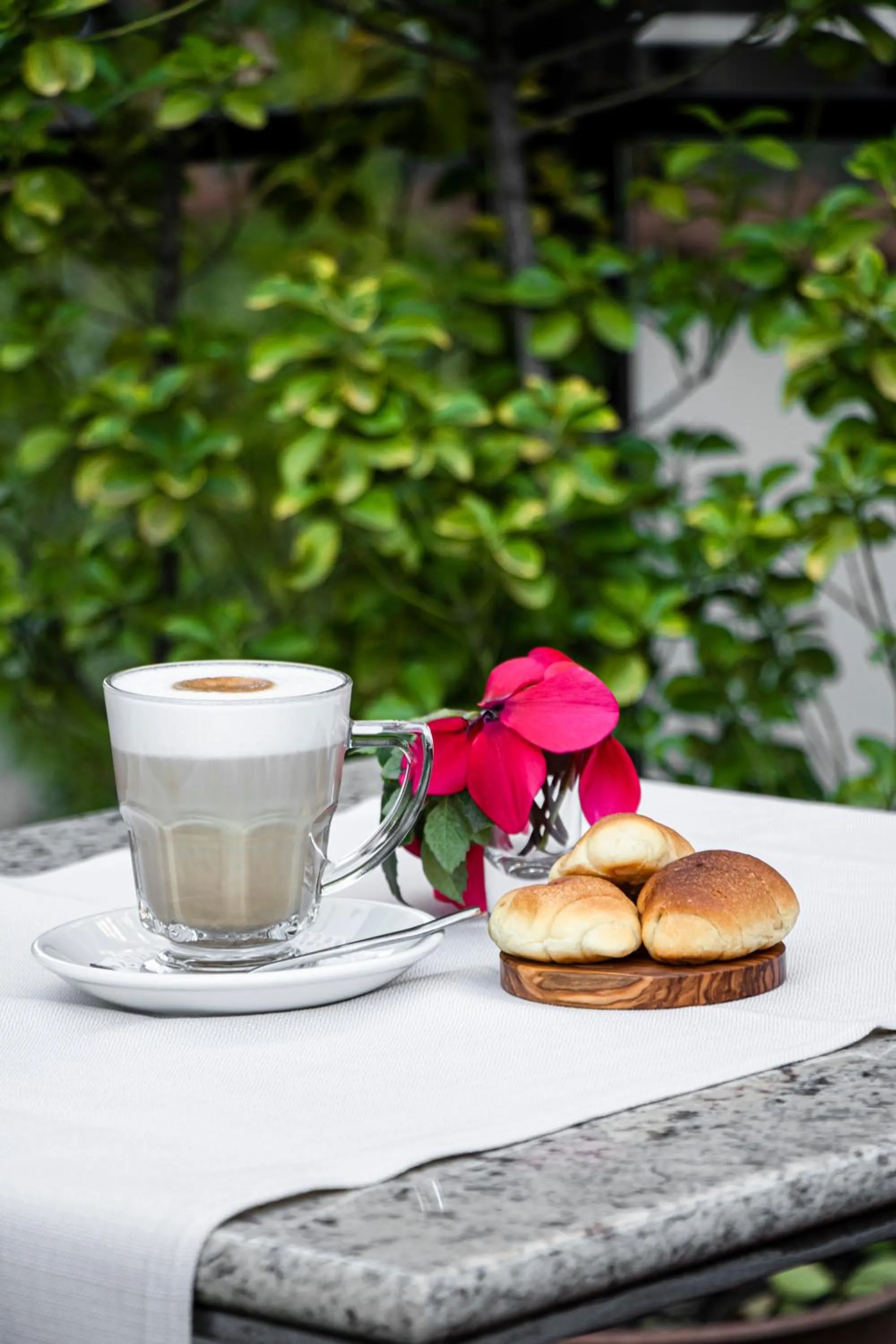 Garden in Hotel Elysee