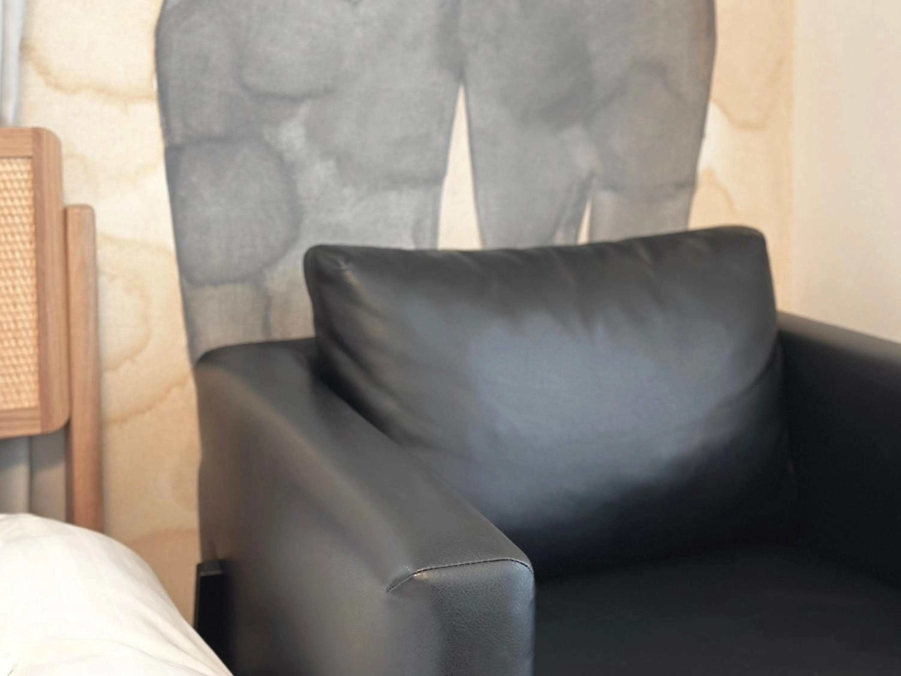 Photo of the whole room in LANG Hotel GINZA 1K