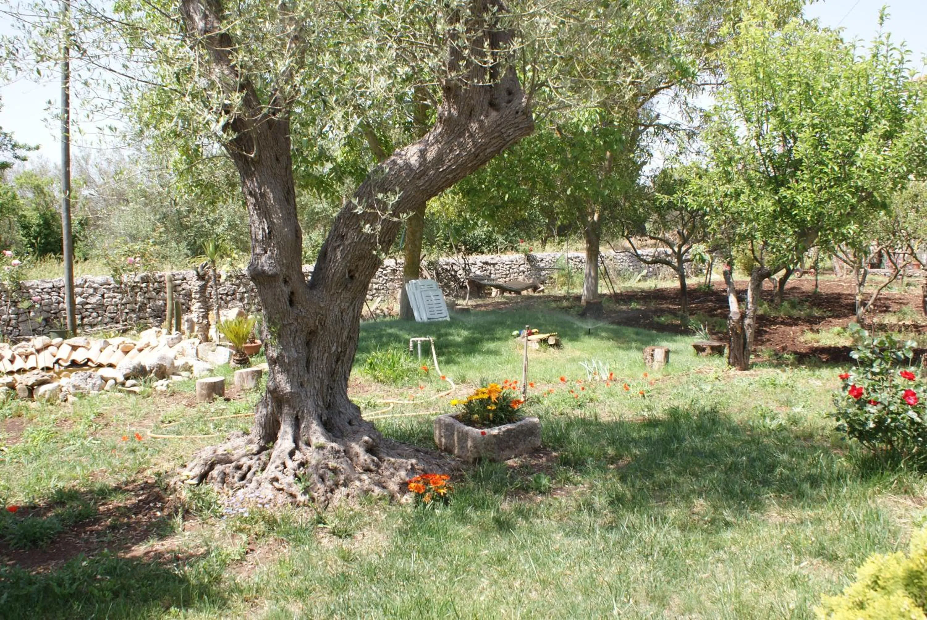 Garden in Giogaia