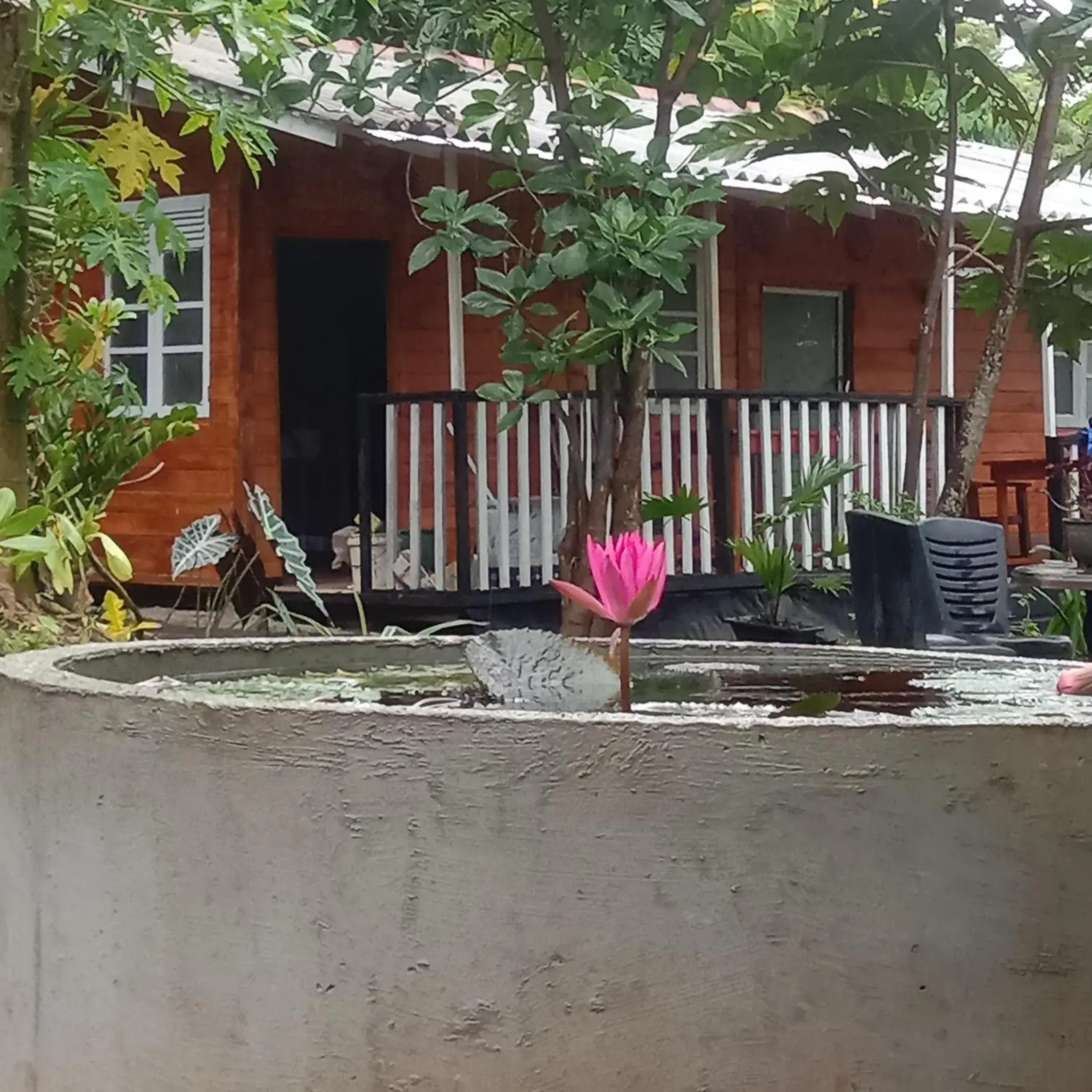 My House Ahangama My House Ahangama