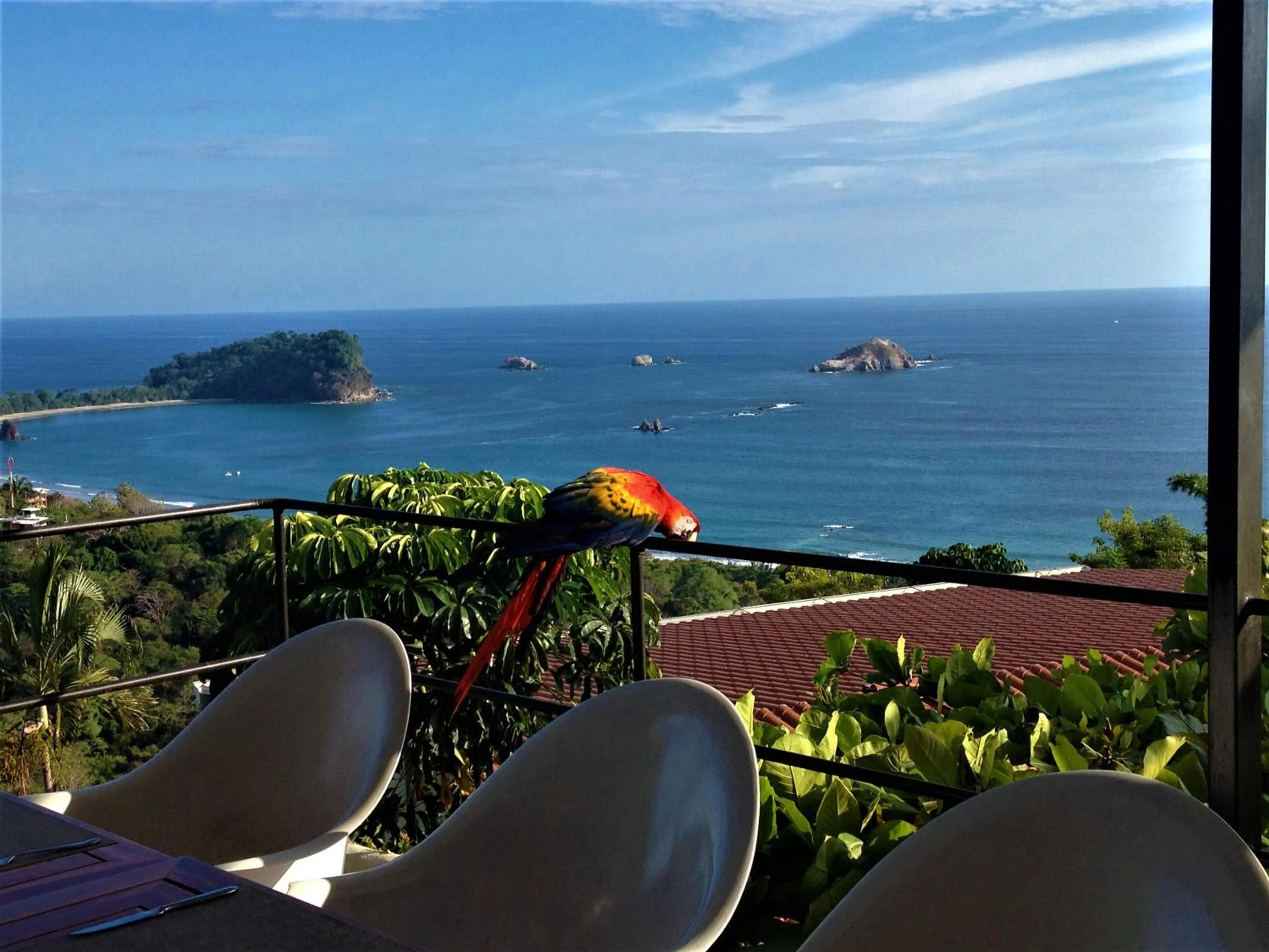 Restaurant/places to eat in Hotel La Mariposa