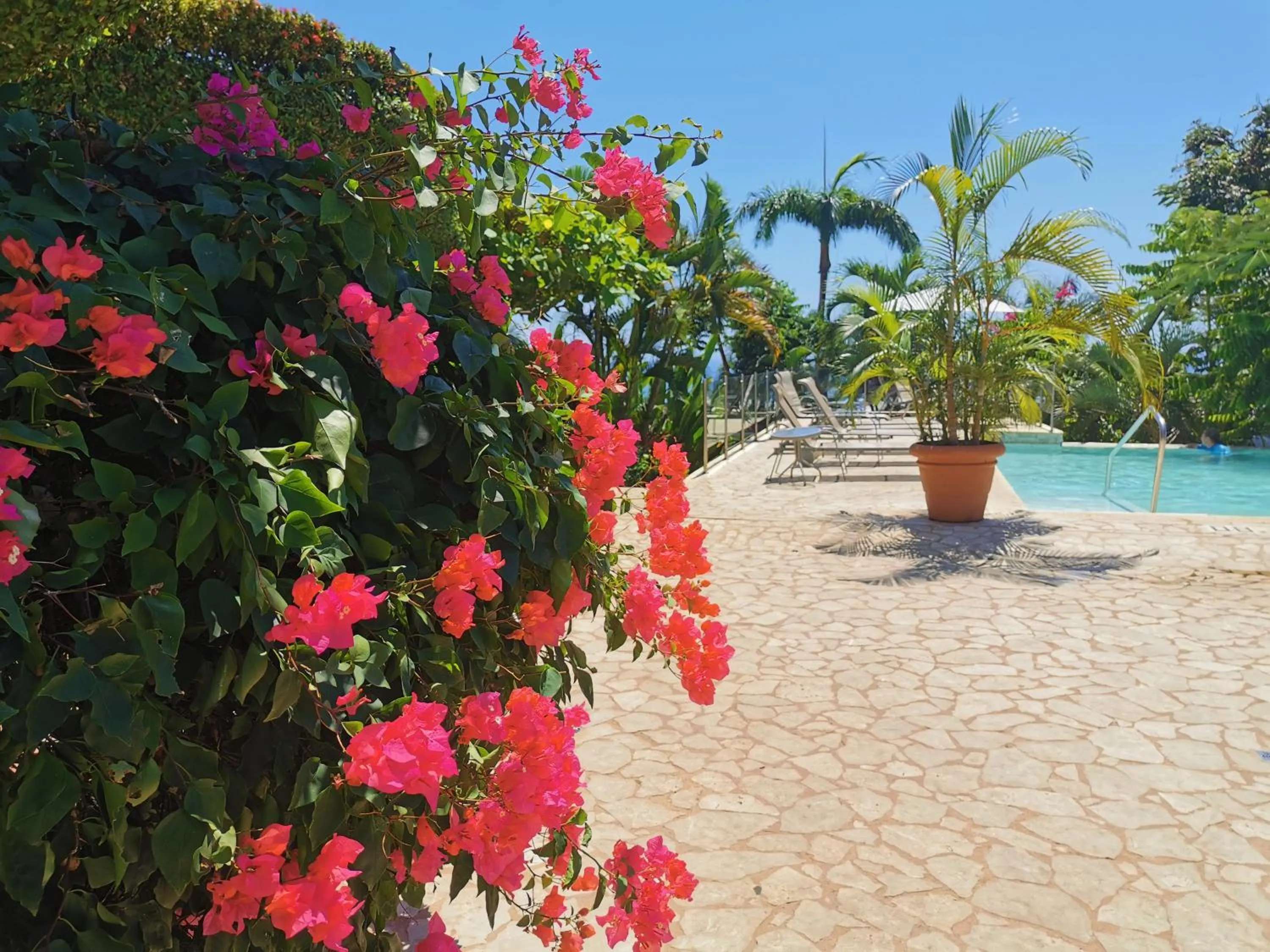 Garden in Hotel La Mariposa