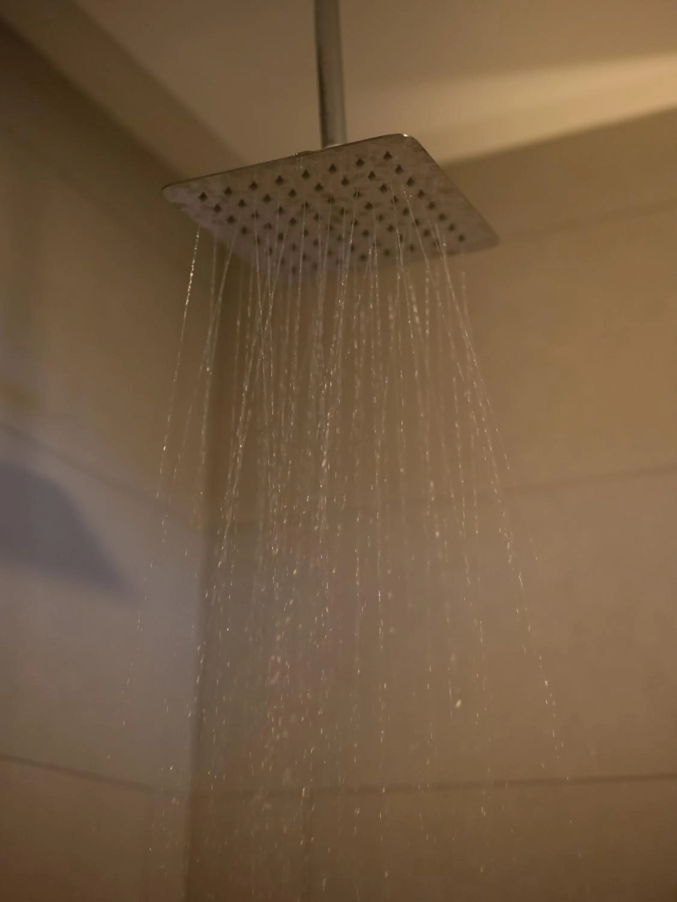 Shower in Hotel La Mariposa