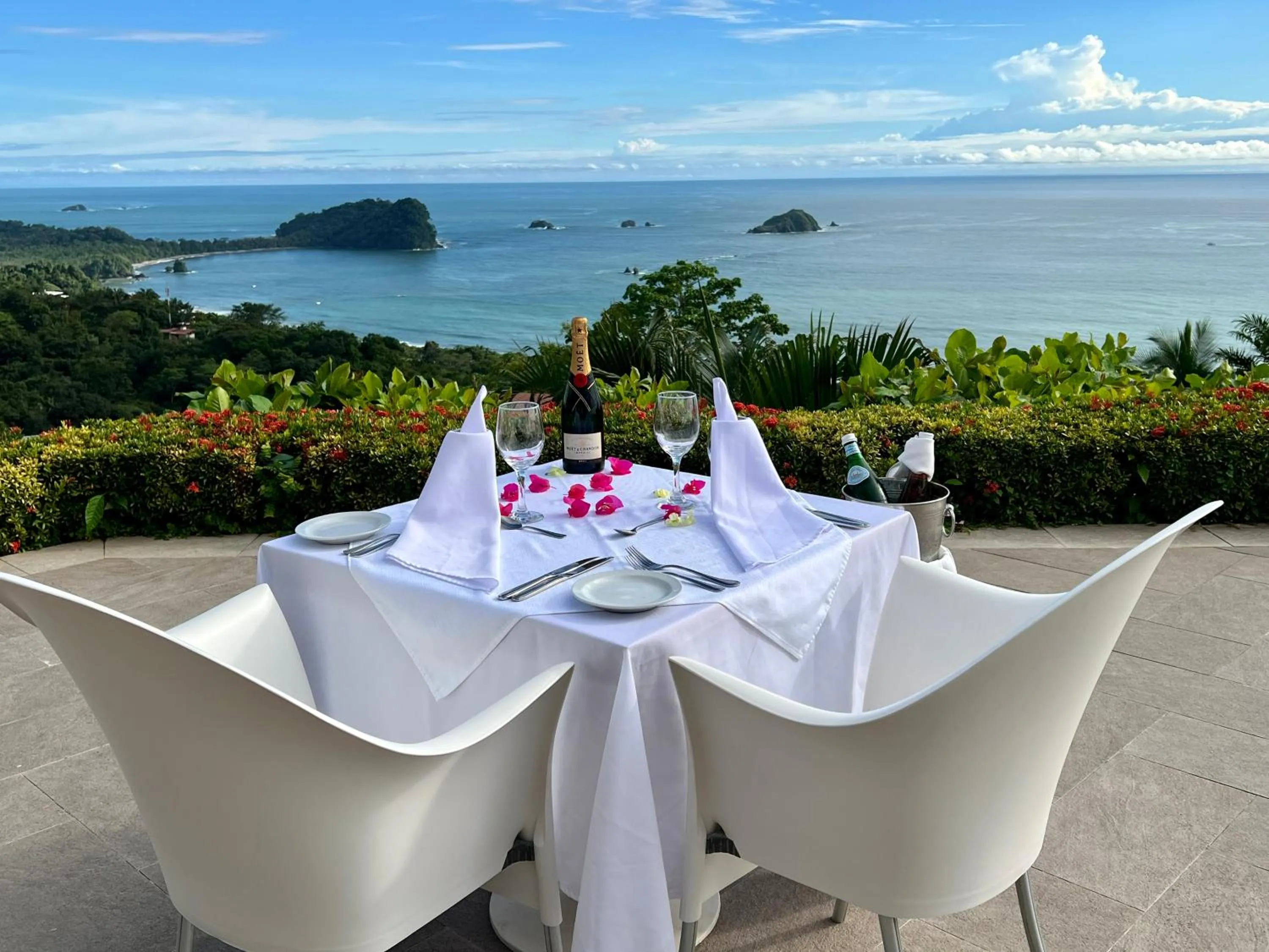 View (from property/room) in Hotel La Mariposa