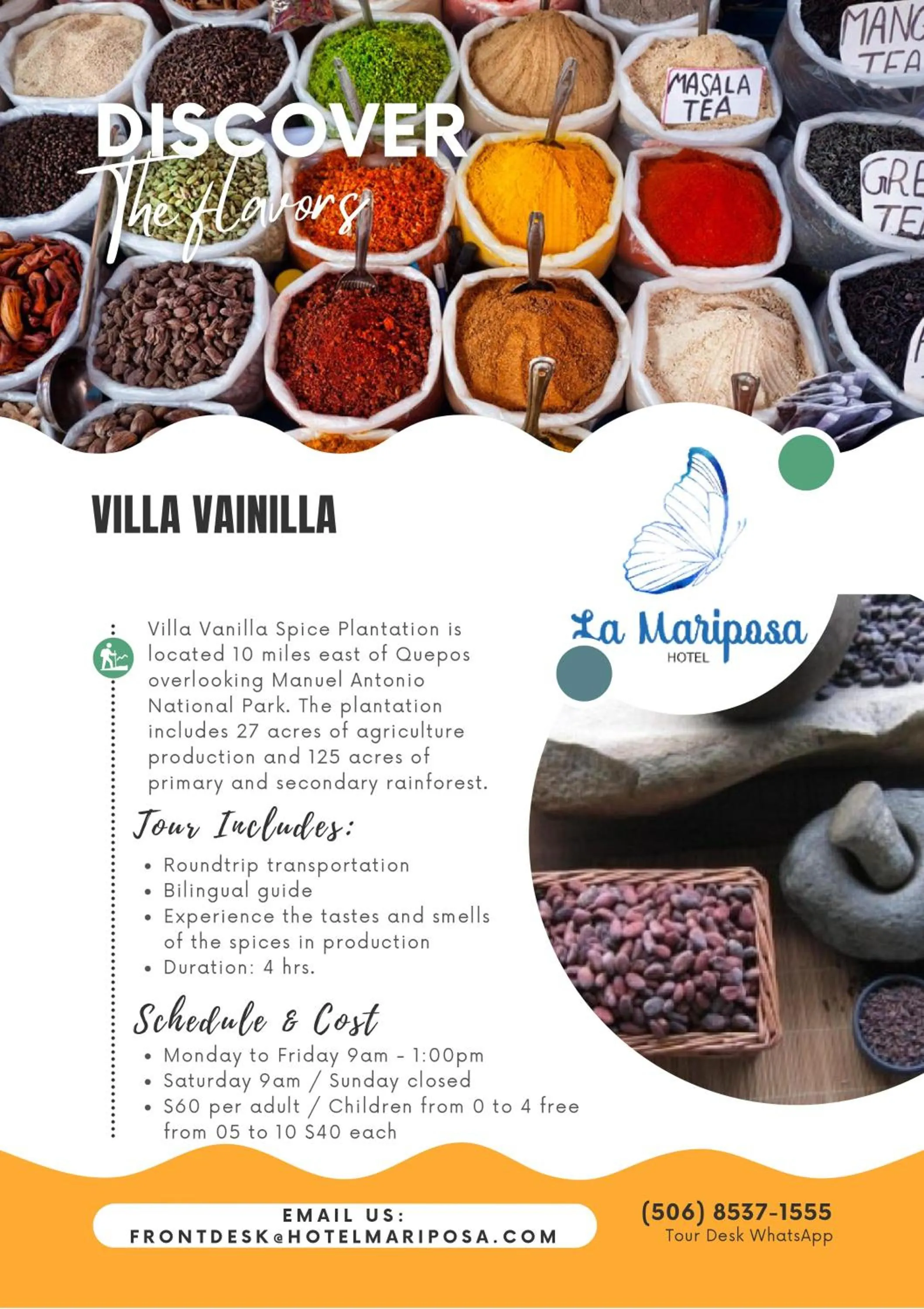 Activities in Hotel La Mariposa