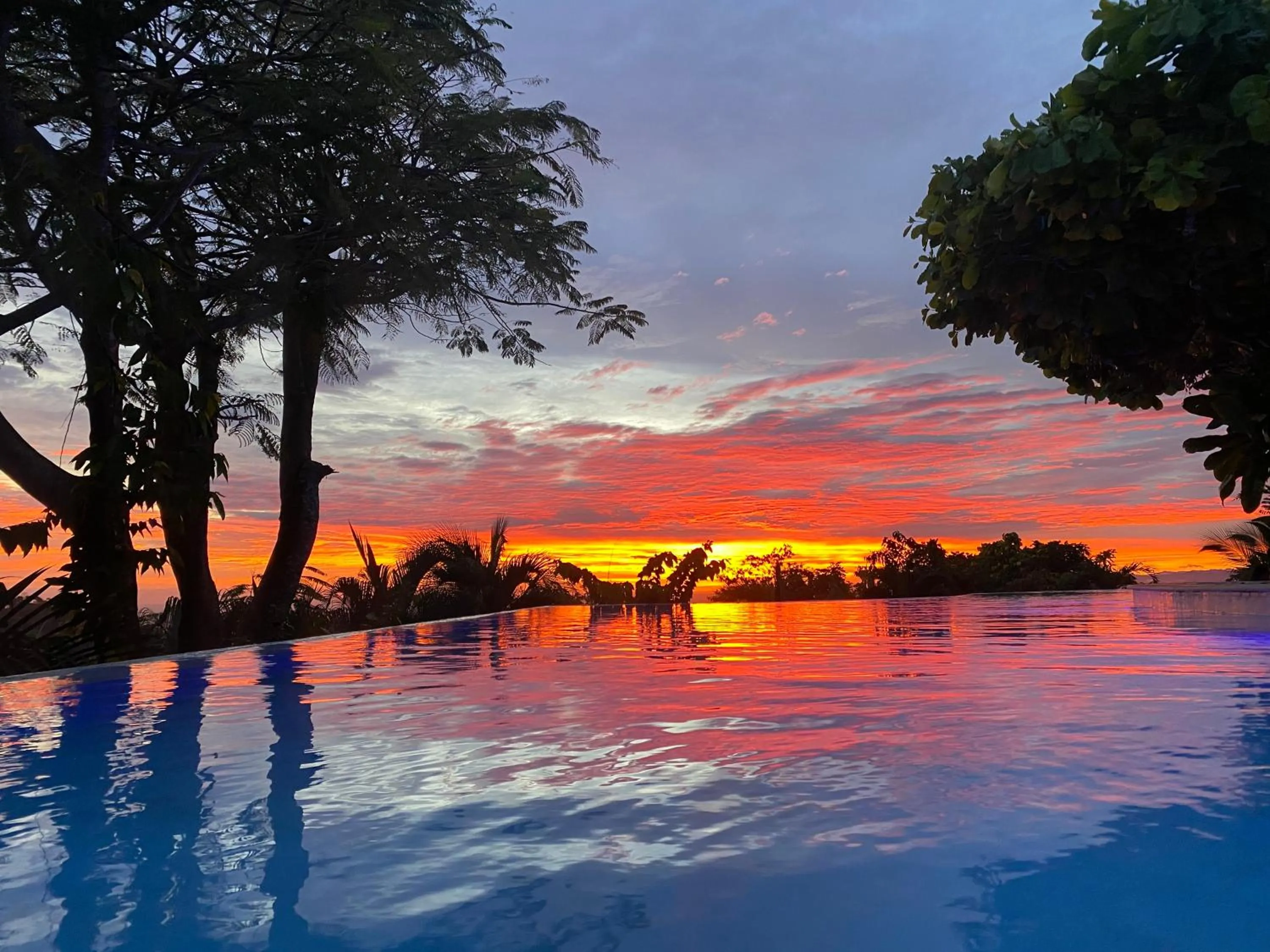 Natural landscape in Hotel La Mariposa