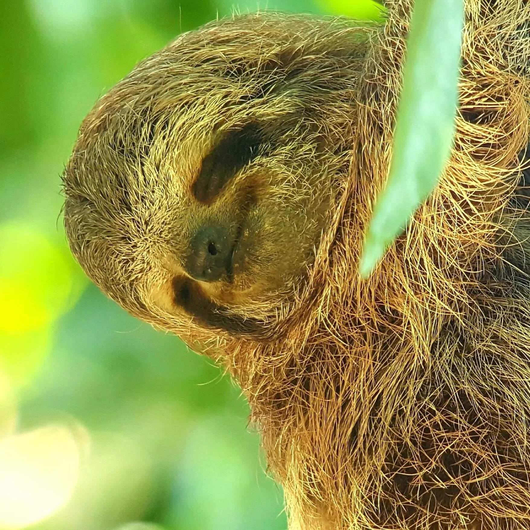 Natural landscape in Hotel La Mariposa
