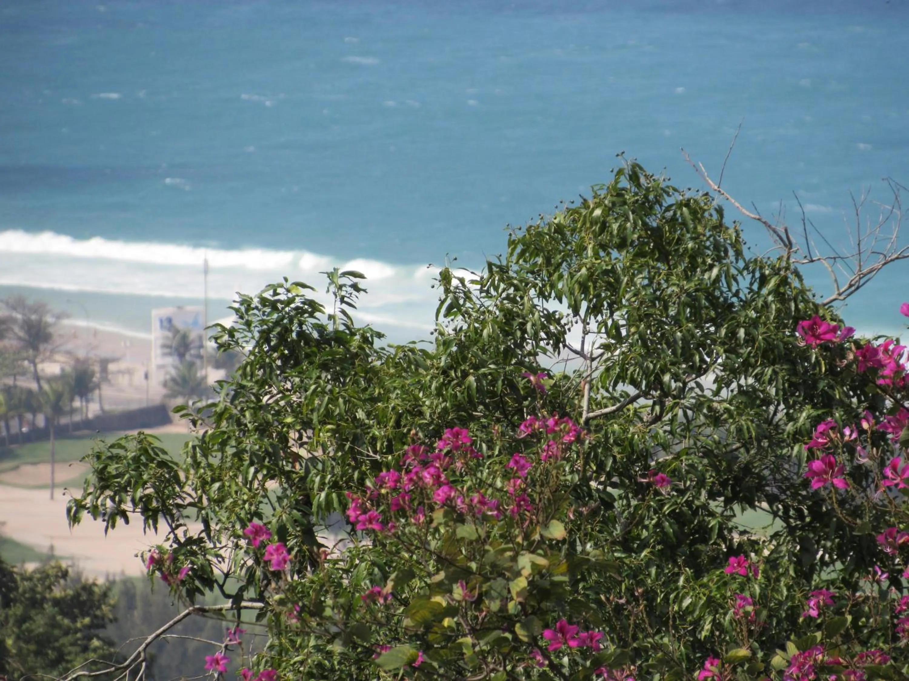 Sea view in Casa Verde Río