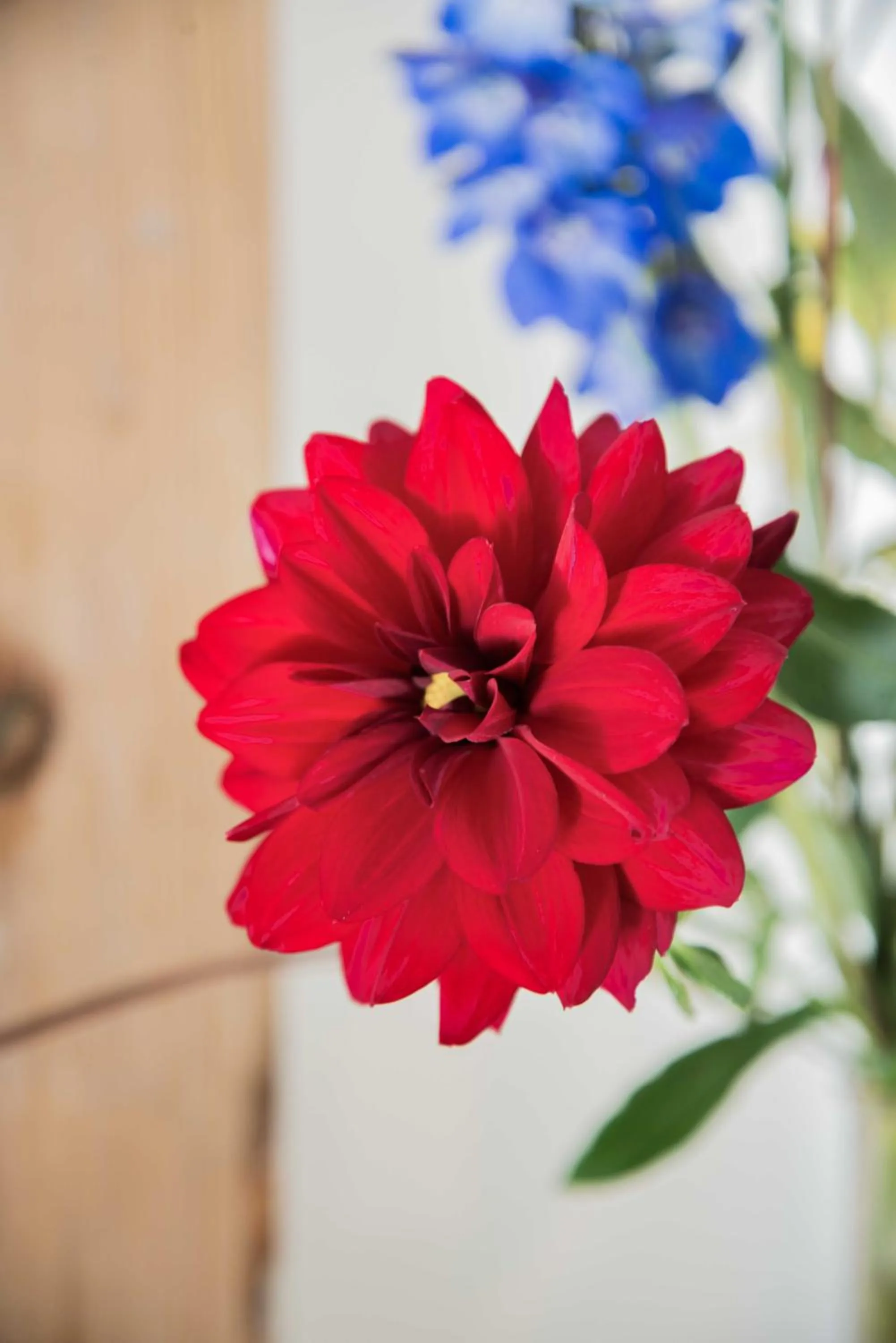 Garden in Bed en Breakfast Puur8a