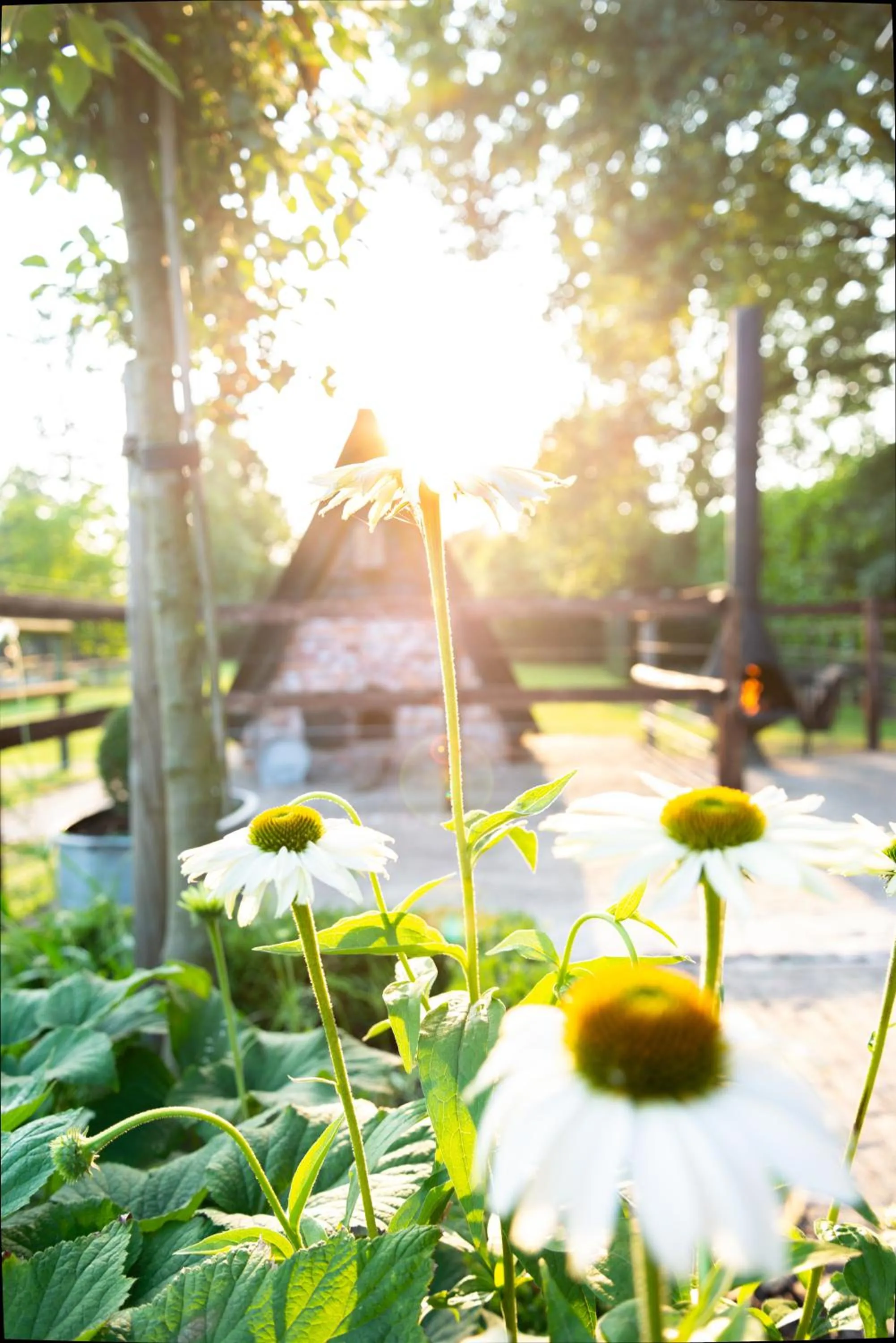 Garden in Bed en Breakfast Puur8a