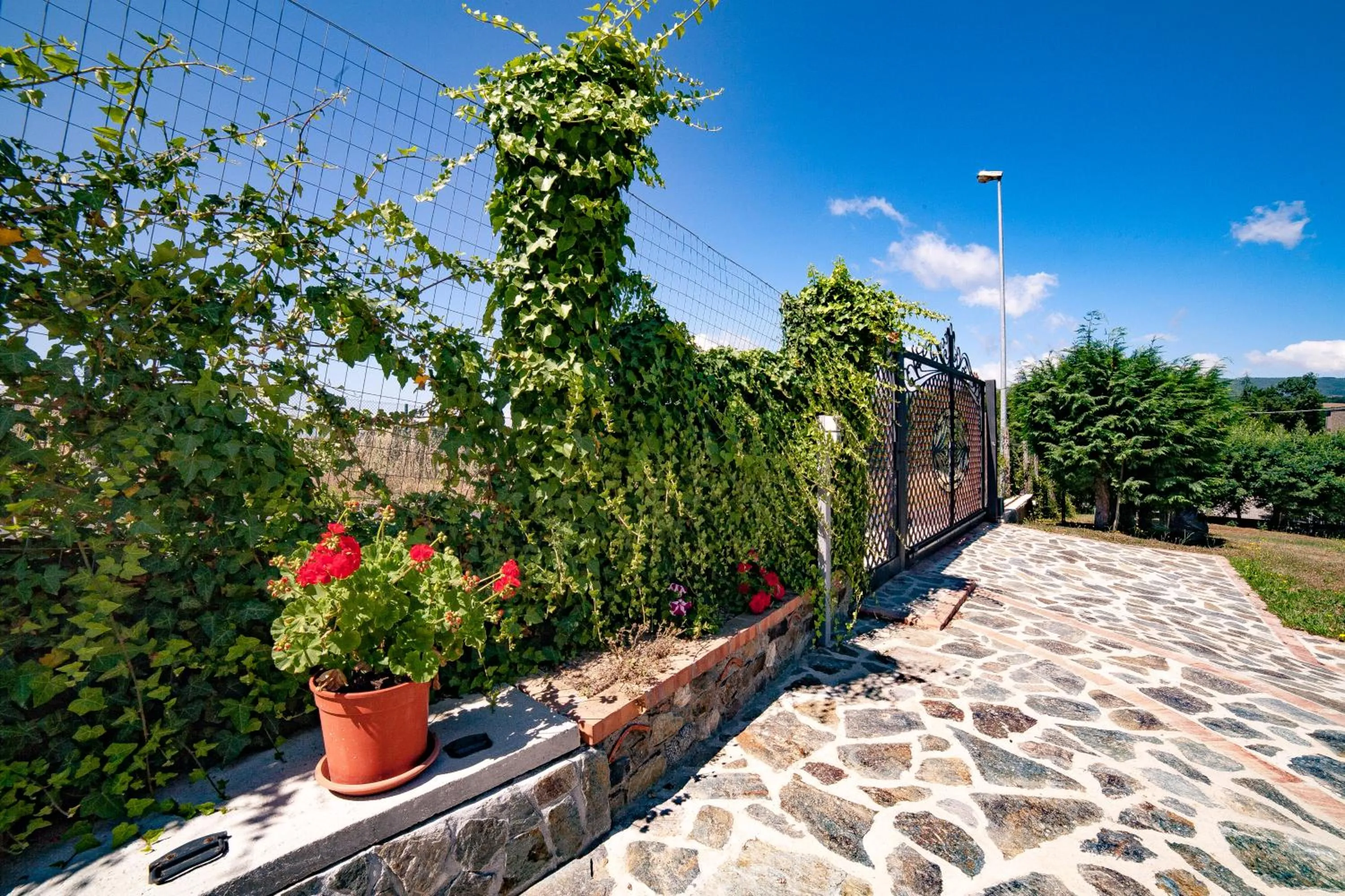 Natural landscape in Casa sull'albero Bocchineri