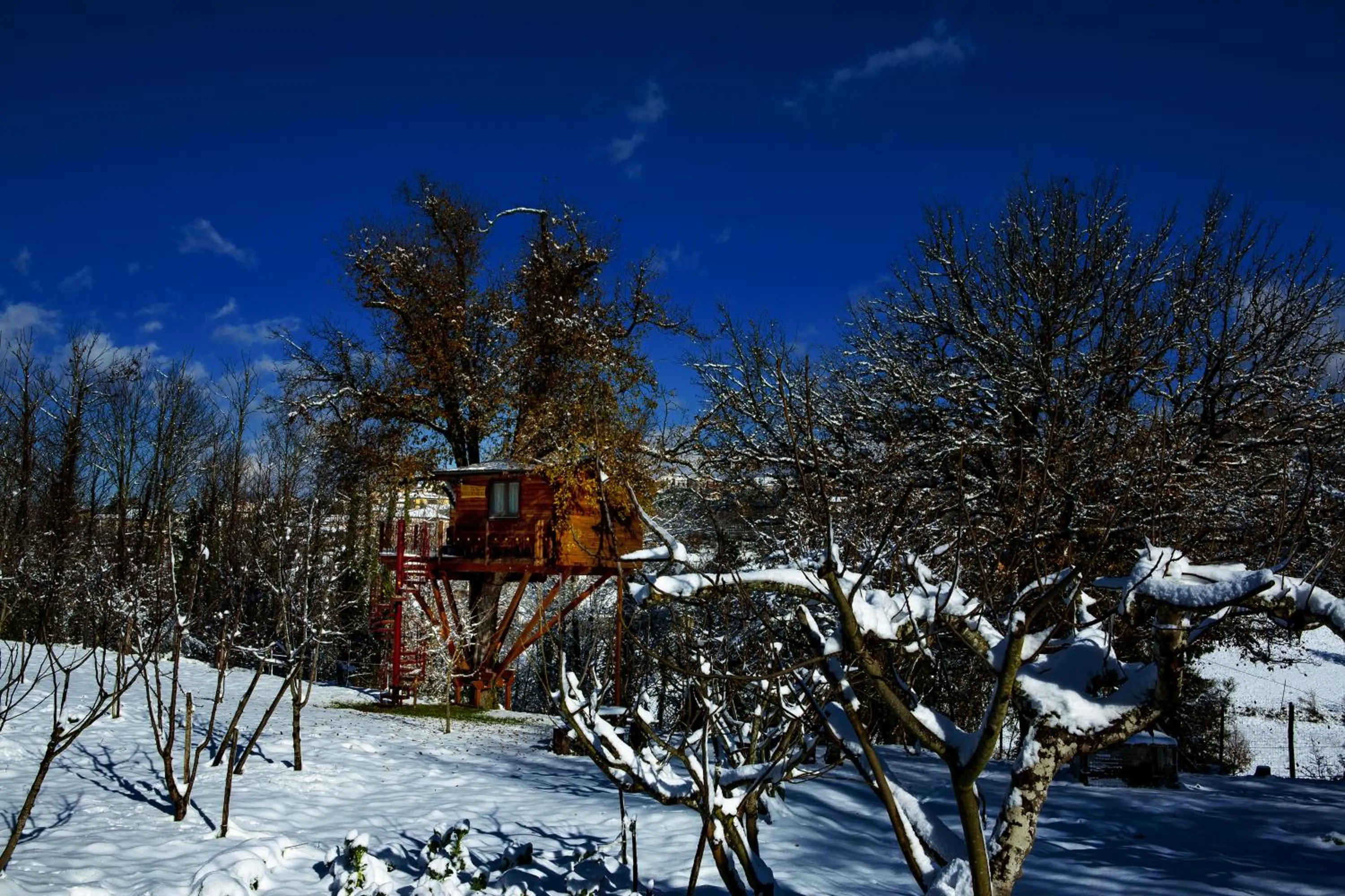 Casa sull'albero Bocchineri