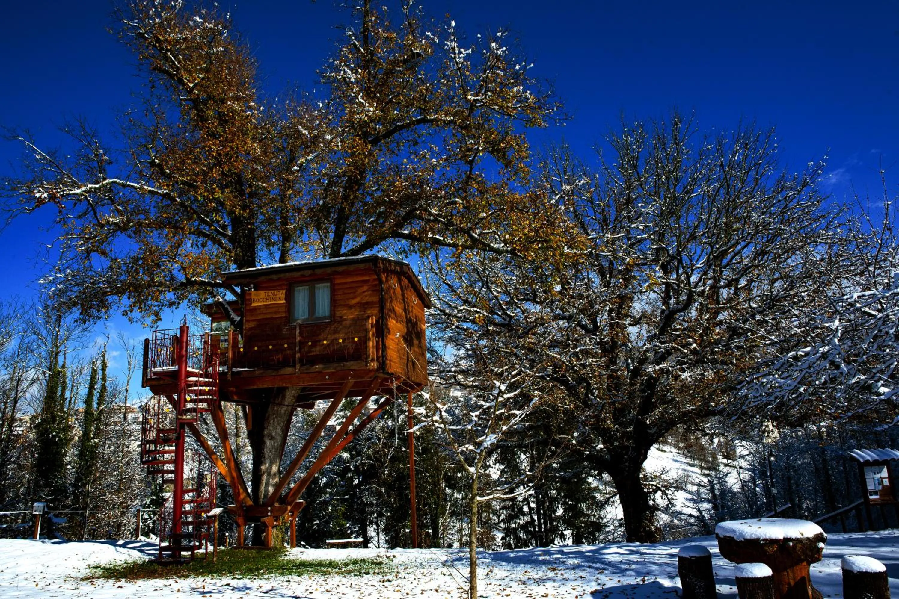 Casa sull'albero Bocchineri