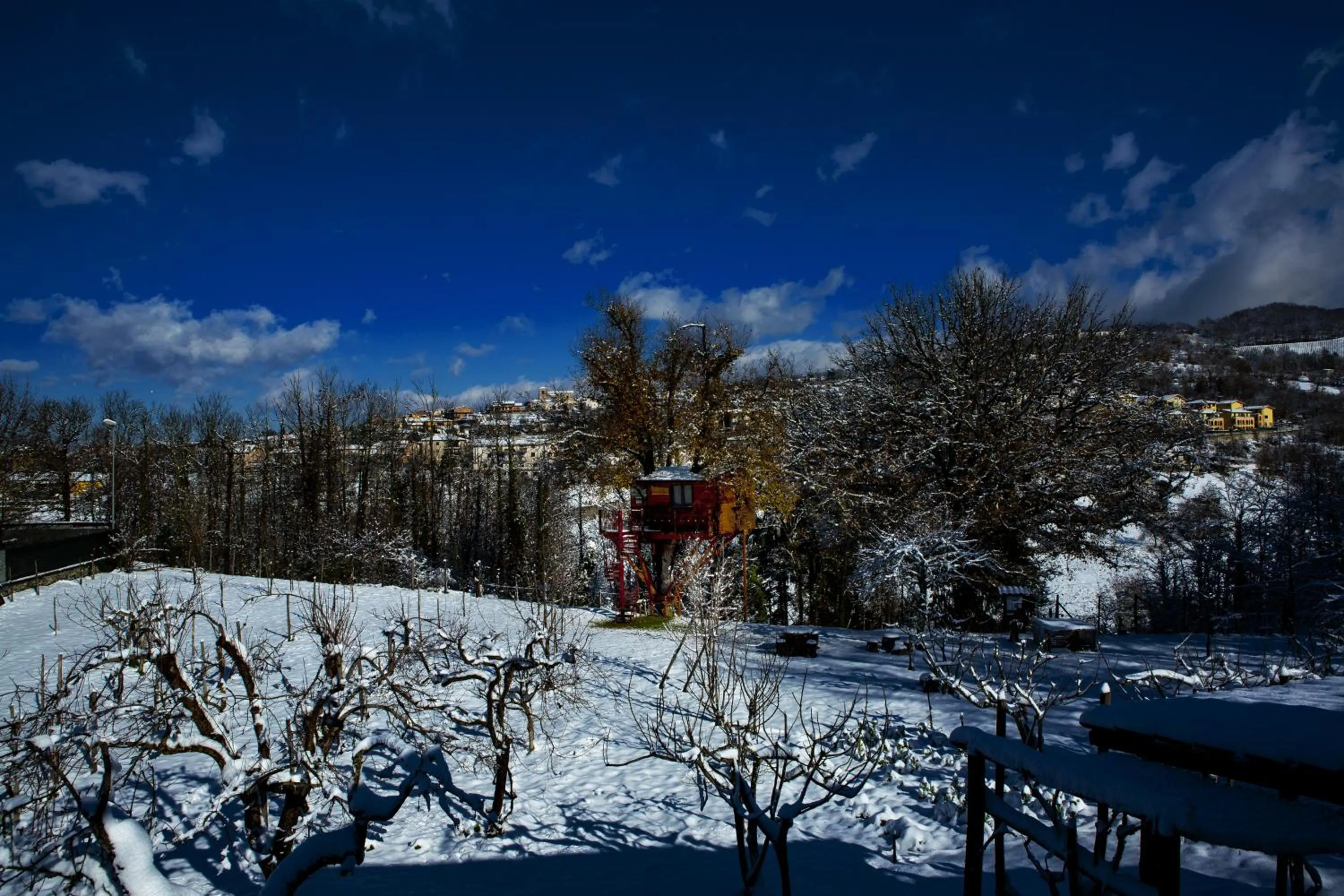Casa sull'albero Bocchineri