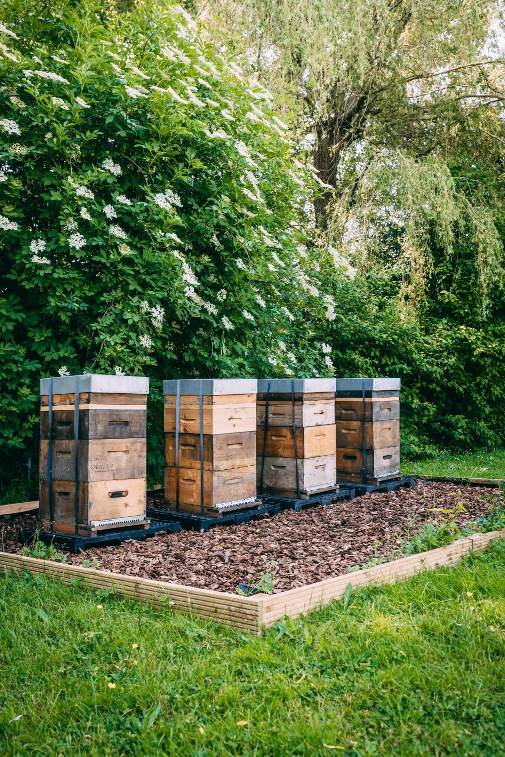 Day in Hotel Ter Elst