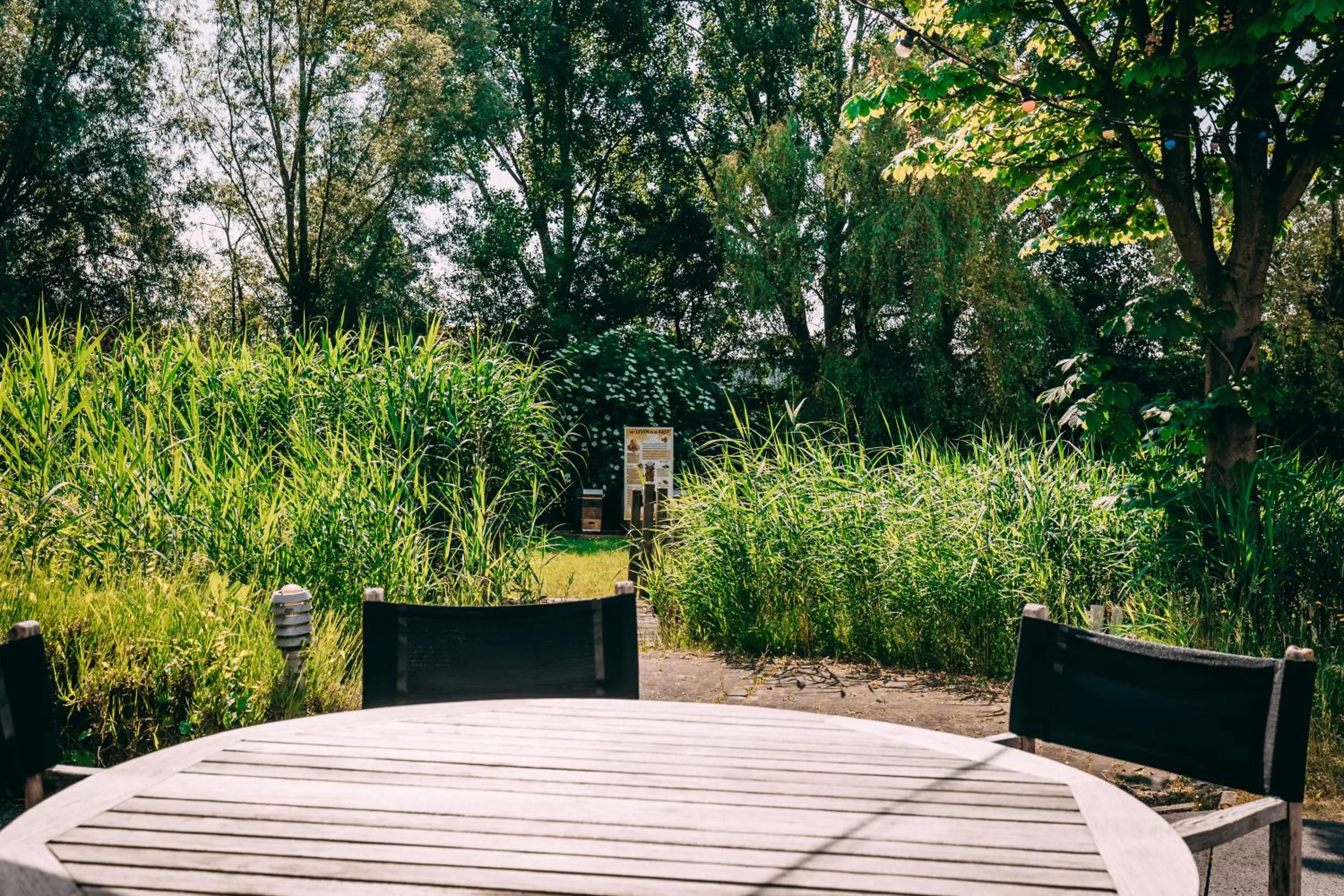 Balcony/Terrace in Hotel Ter Elst