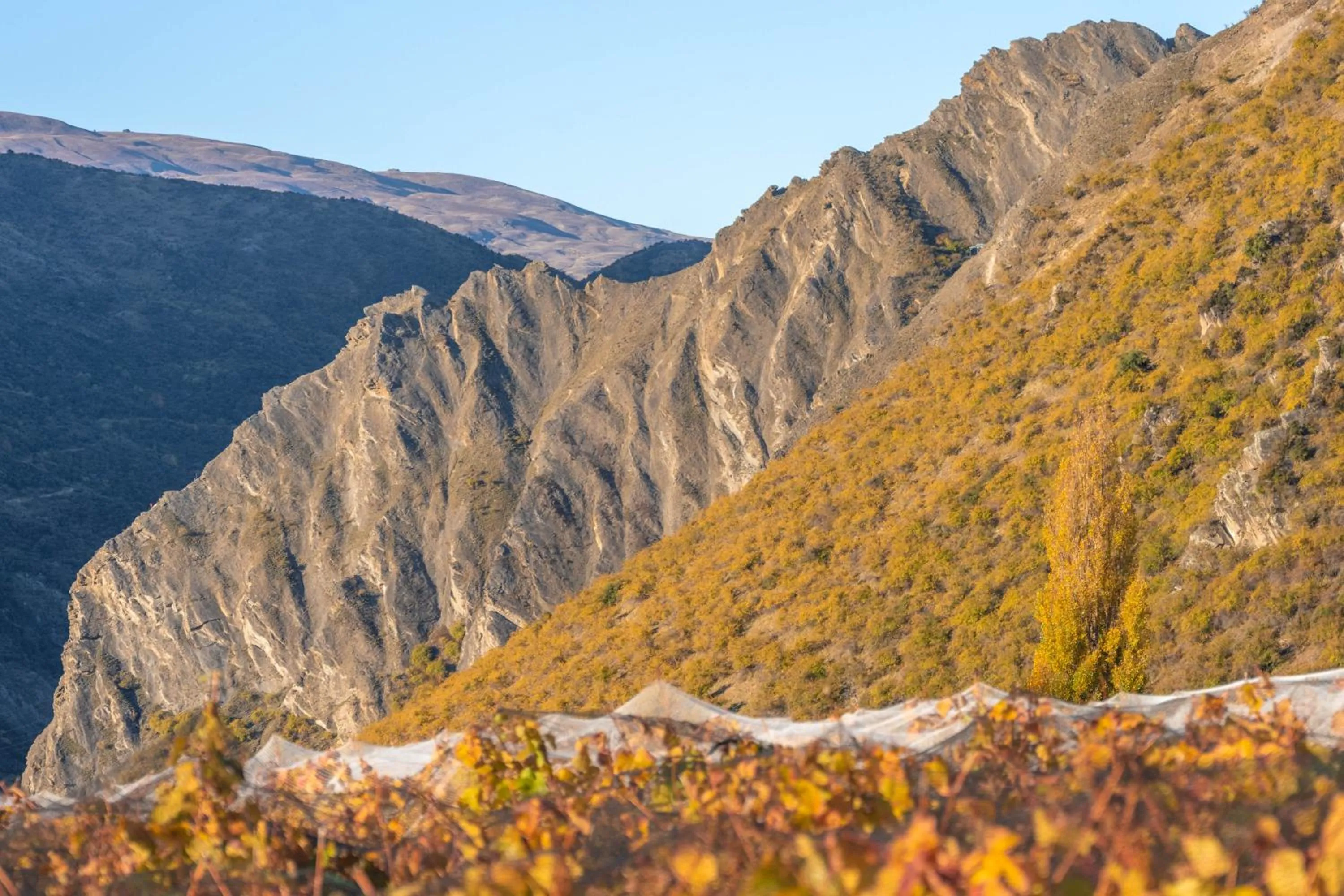 Nearby landmark in Mt Rosa Lodge Boutique Vineyard Accommodation