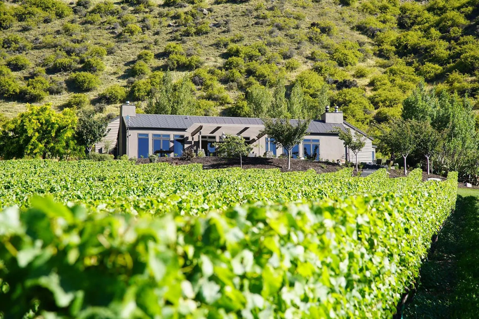 Day in Mt Rosa Lodge Boutique Vineyard Accommodation