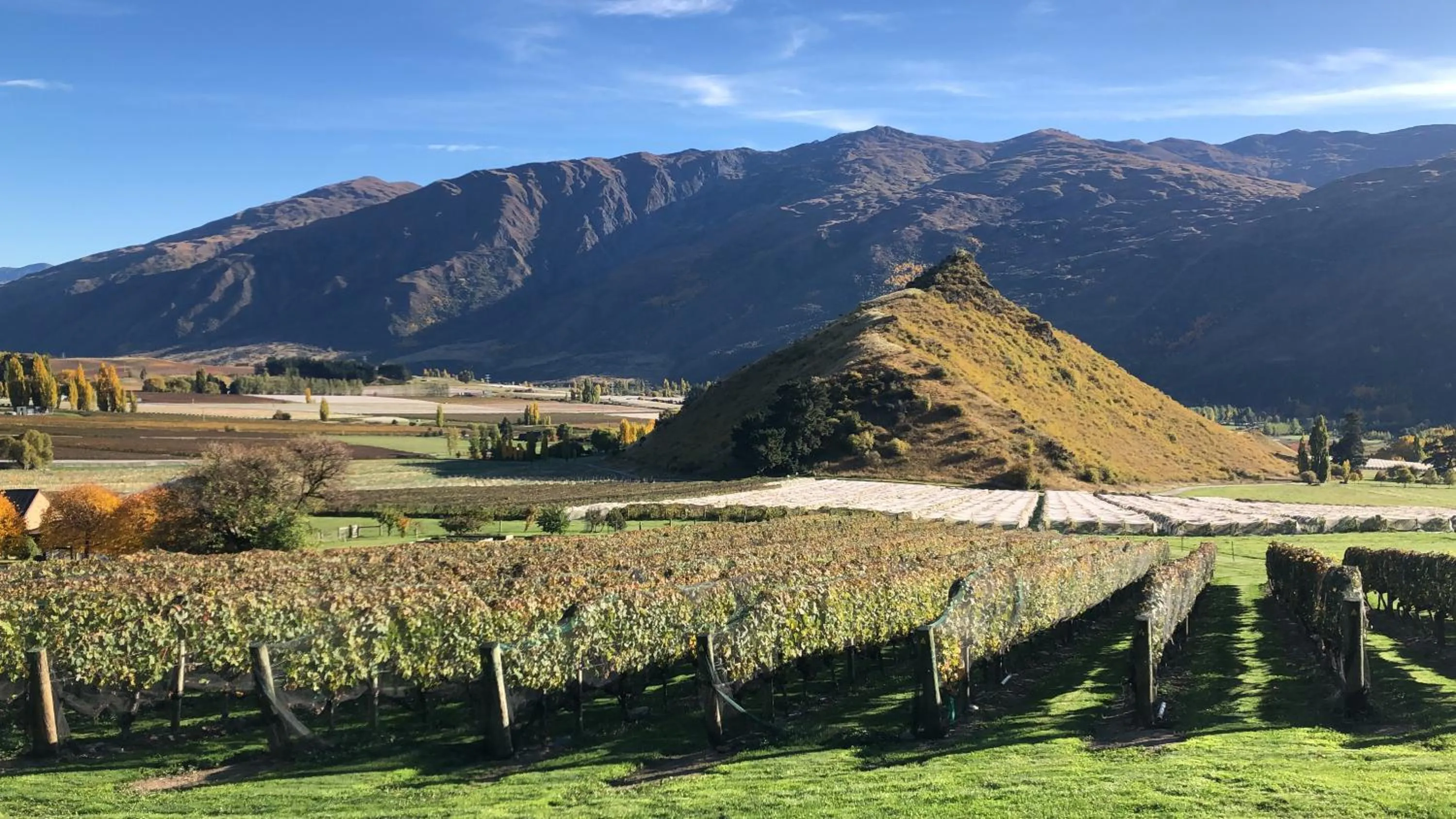 Mountain view in Mt Rosa Lodge Boutique Vineyard Accommodation