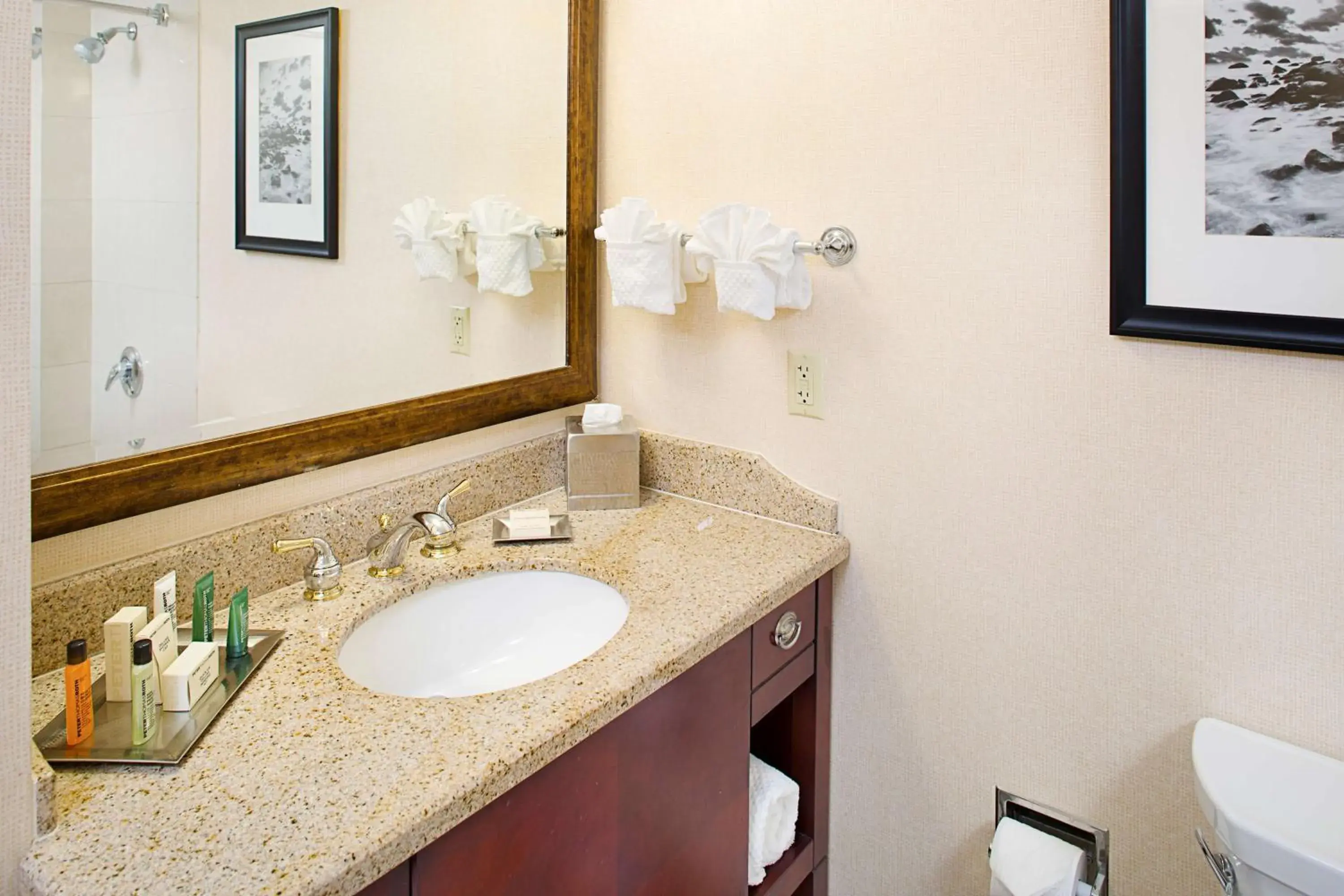 Bathroom in Hilton Providence Bathroom in Hilton Providence